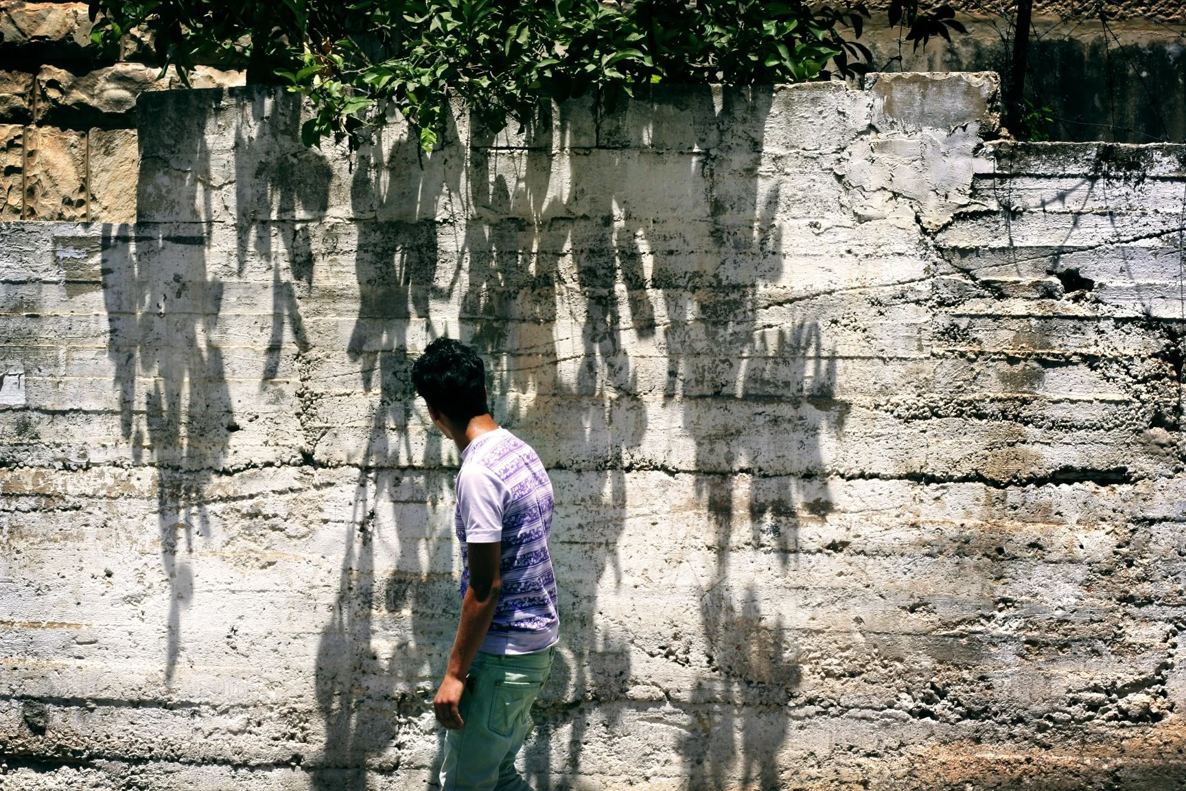 shadows copy.jpg