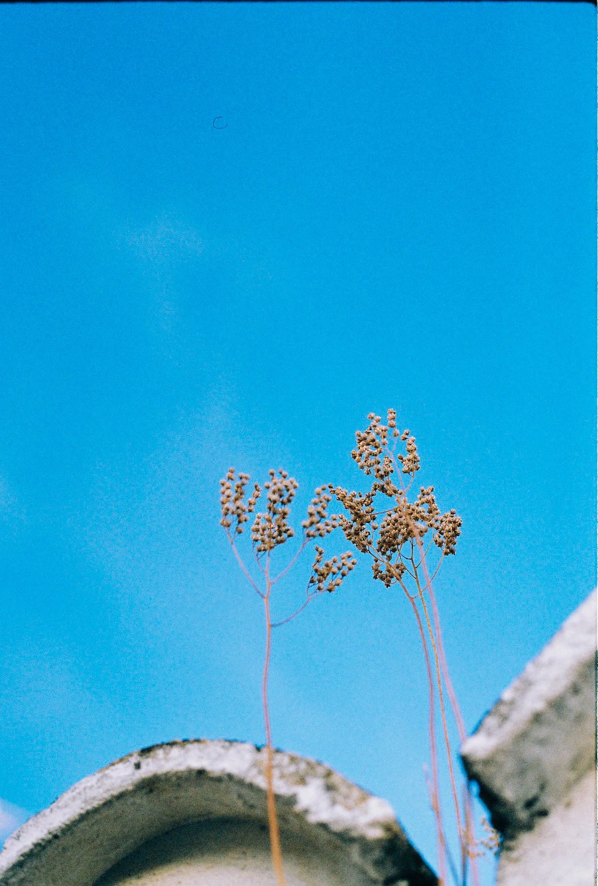 R1-06674-0006.jpg