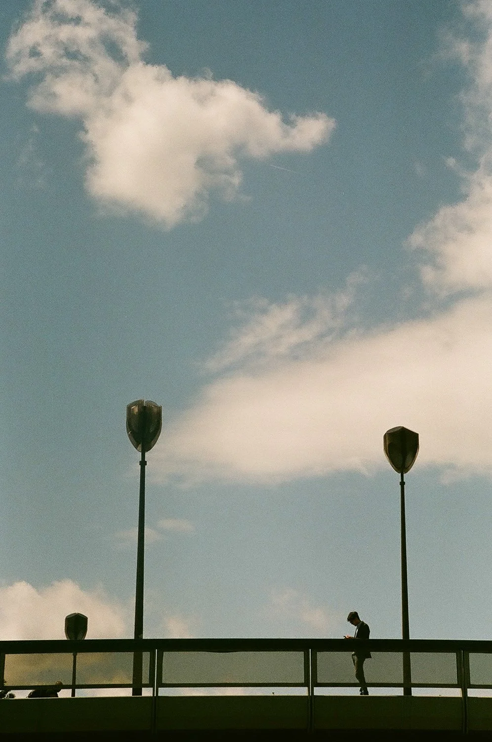 91550035.jpg