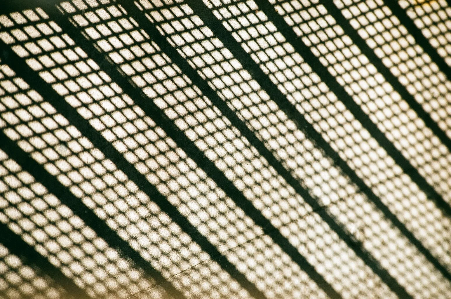61250017.jpg