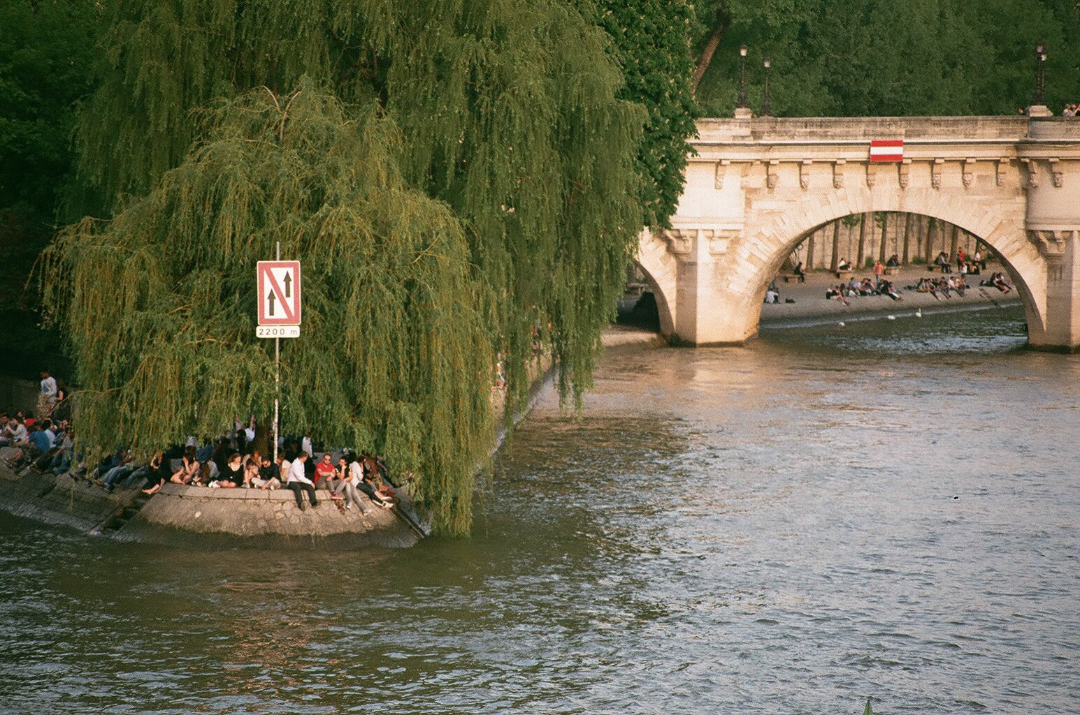 91570011.jpg