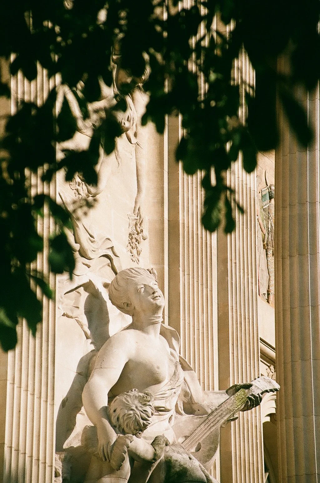 91550029.jpg