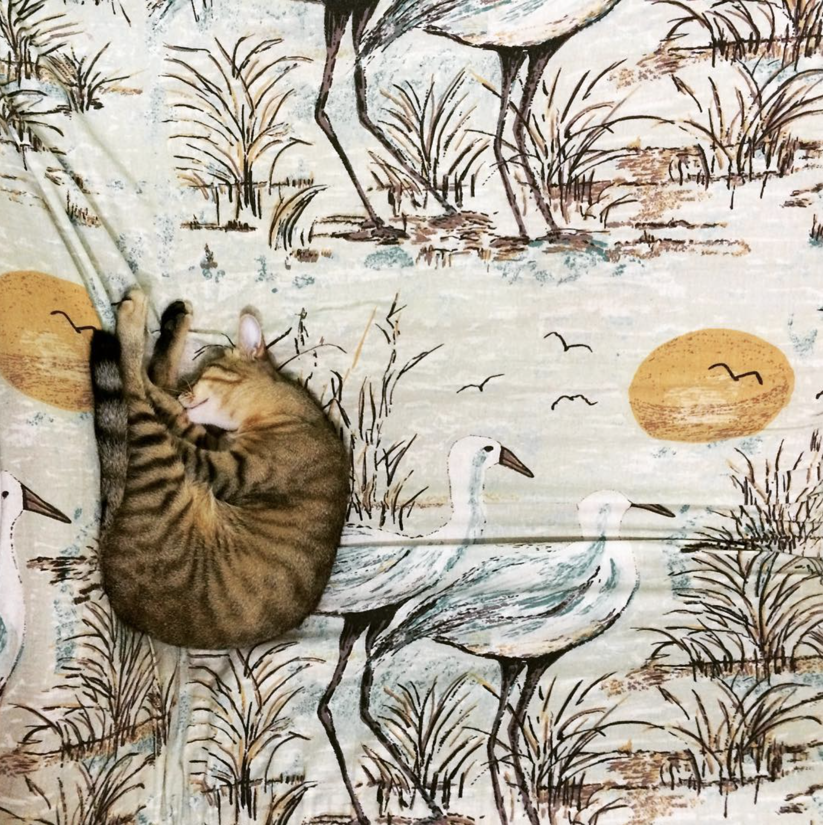 Screen Shot 2025-01-24 at 4.32.20 PM.png