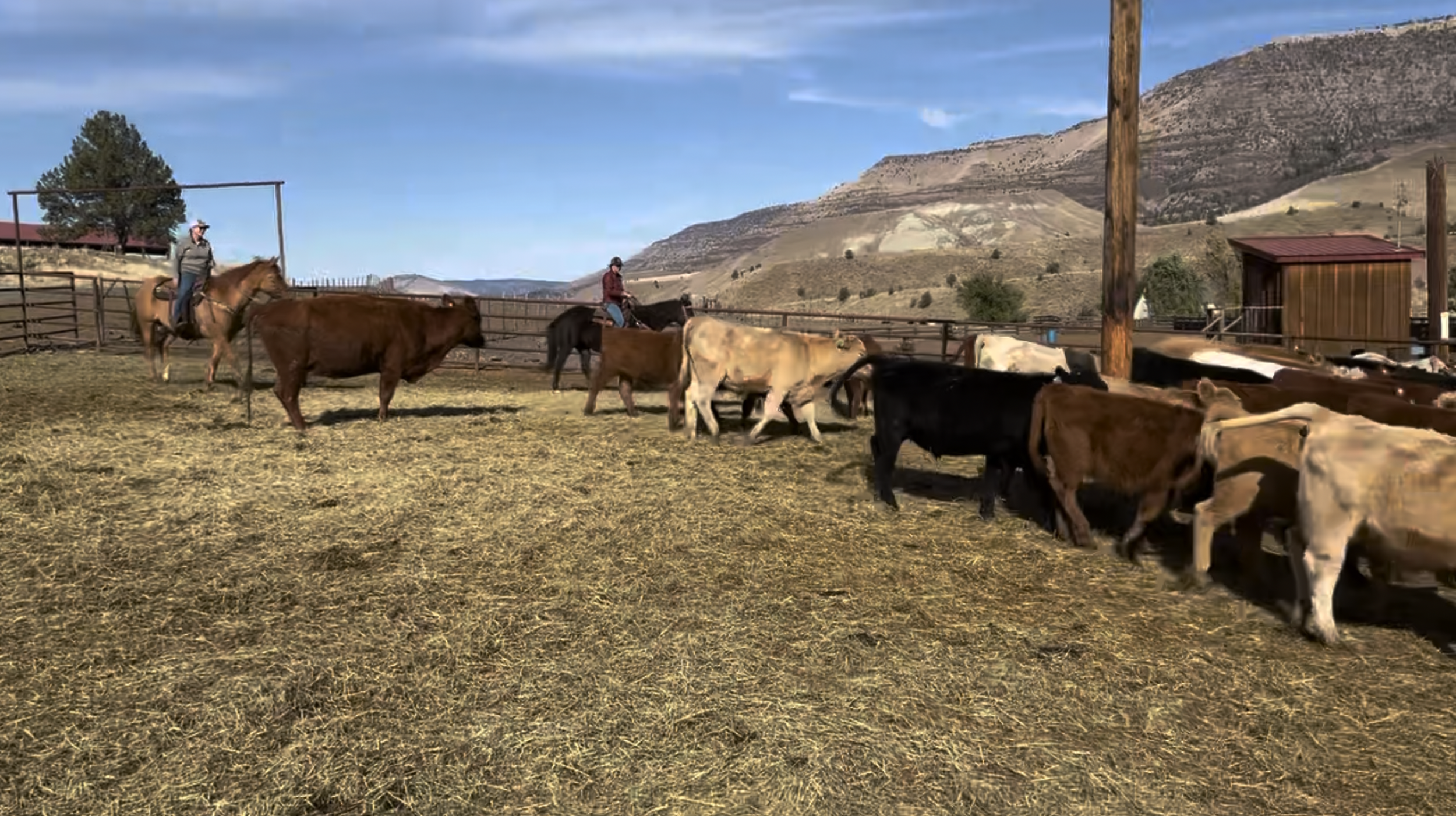 Longview Ranch: Work Across 30,000 Acres