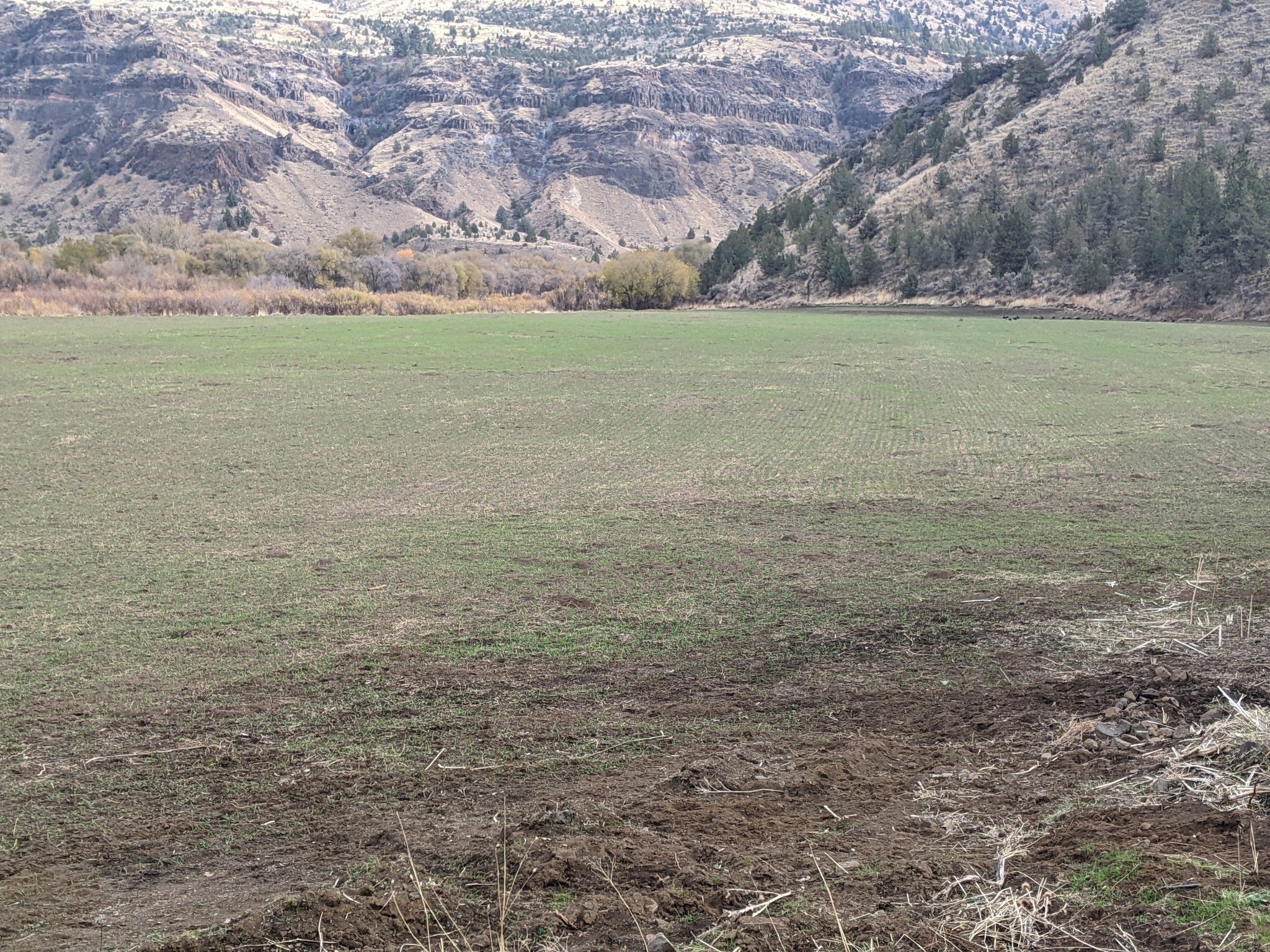 Longview Ranch: Newly Developed 13-Acre Field
