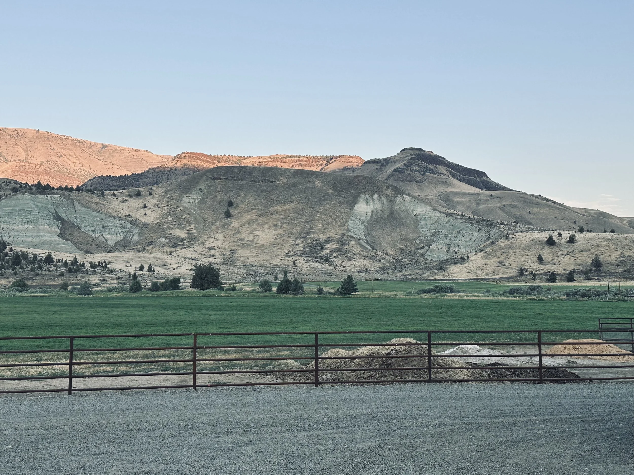 Longview Ranch: Practicing Thoughtful Forest Management