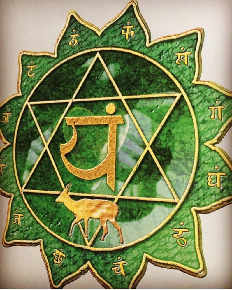 The Heart Chakra 💚 

The heart chakra is the center for unconditional love &bull; It&rsquo;s energy connects us deeply to ourselves, to others &amp; to ALL &bull; It teaches us compassion, joy &amp; love.  The heart center is the core of your being;