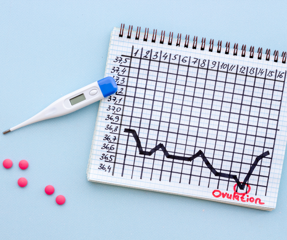 Rencontre d'échange - Procréation médicalement assistée (PMA)