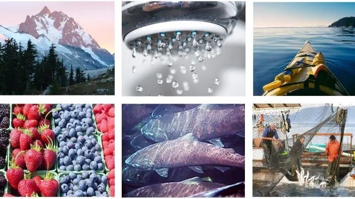 WRIA 1 Management Project