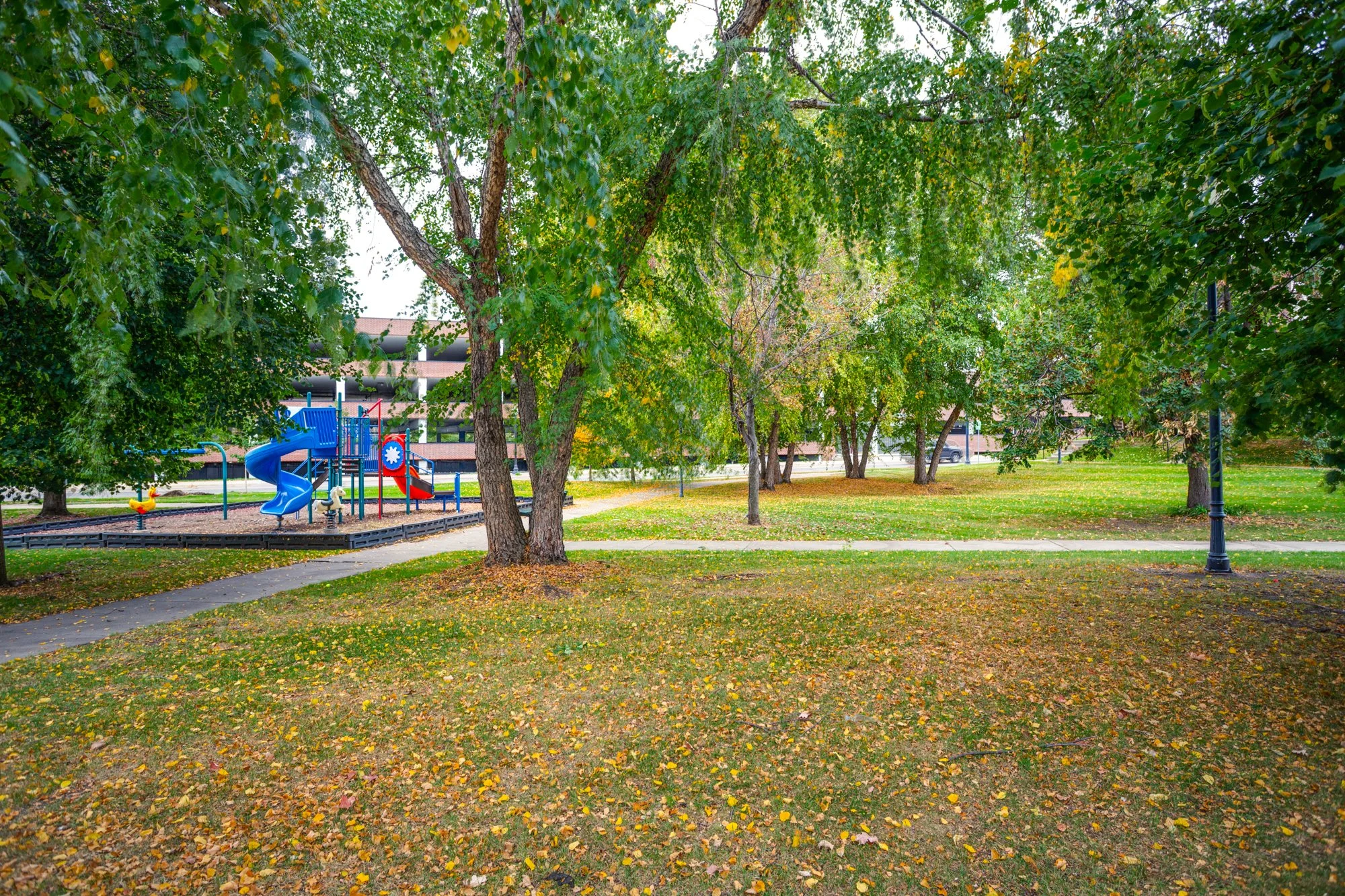 _57A0183B.jpg