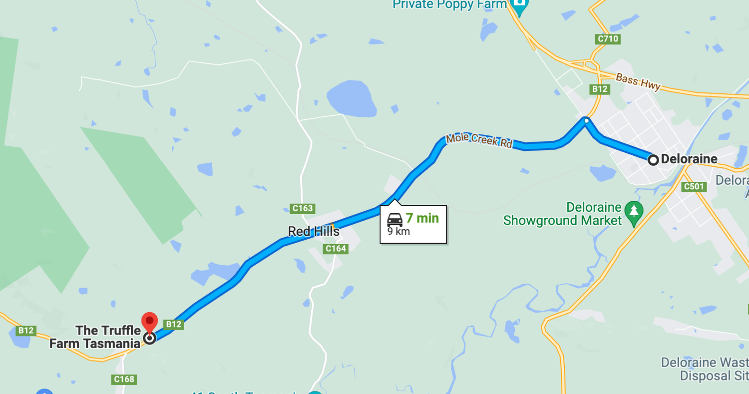 The Truffle Farm Tasmania Home of Australia's First Black Truffle