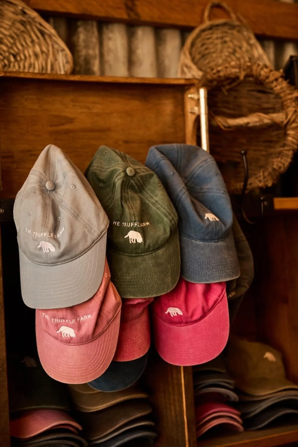 Truffle_Farm_Sep_202559 (1) (1).jpg