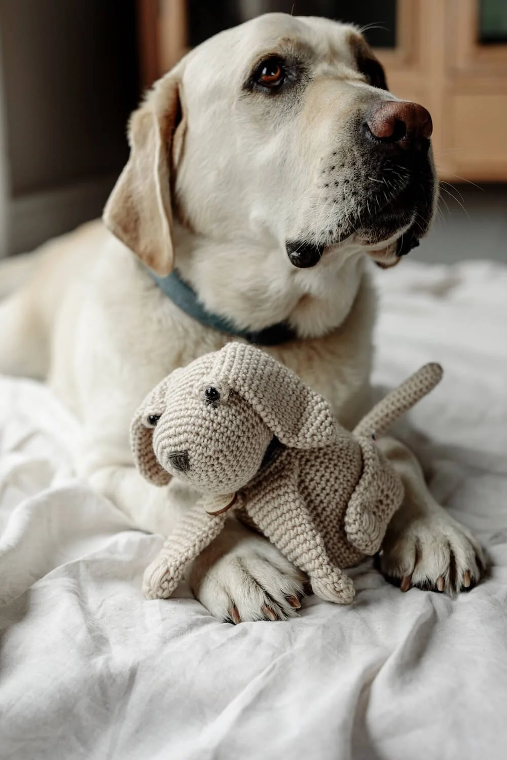 Truffle_Farm_Dec_2023-166 (1).jpg