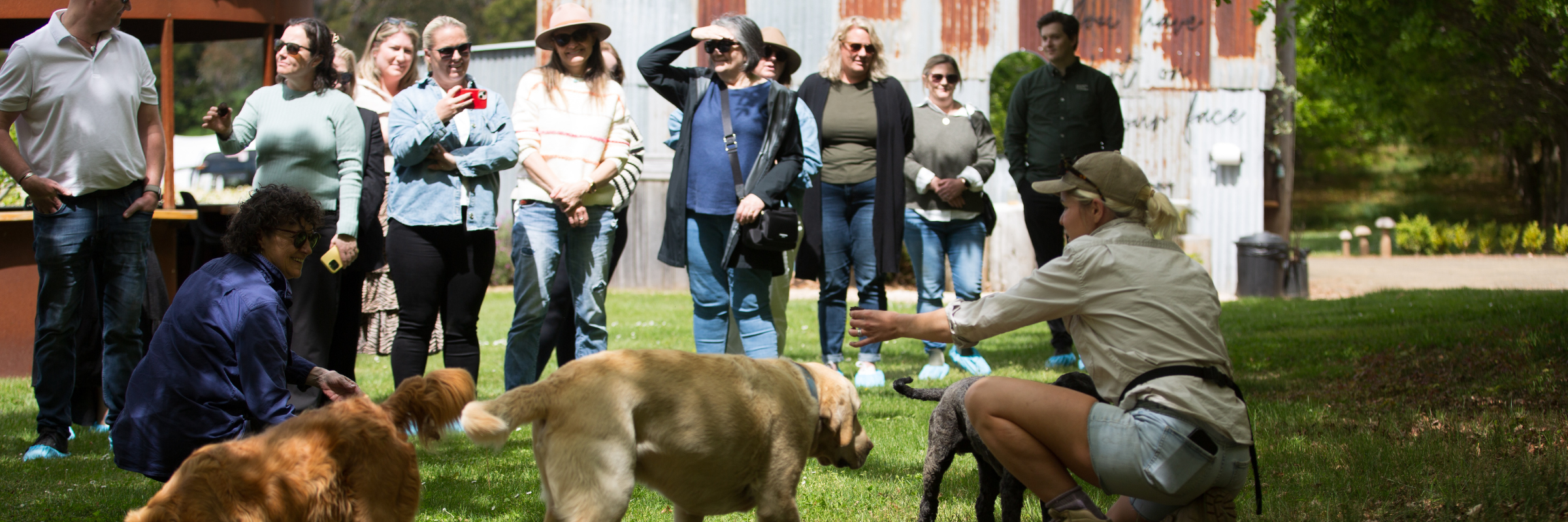 Guided Tour Experience