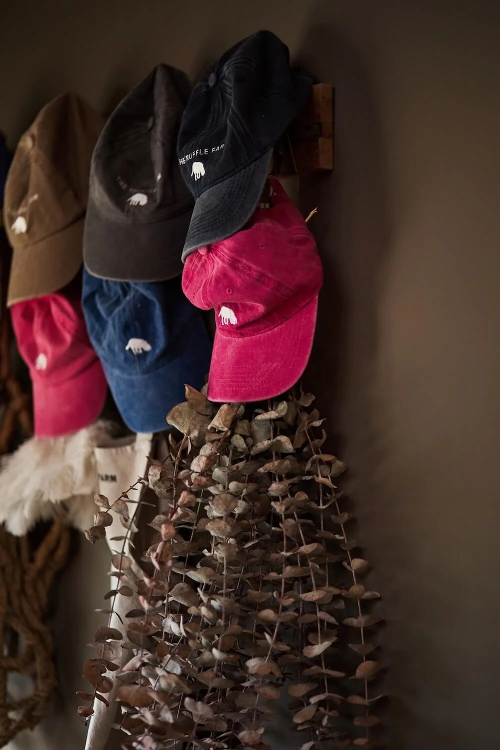 Truffle_Farm_Oct_202422 (1).jpg