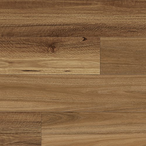 7116 NSW Spotted Gum