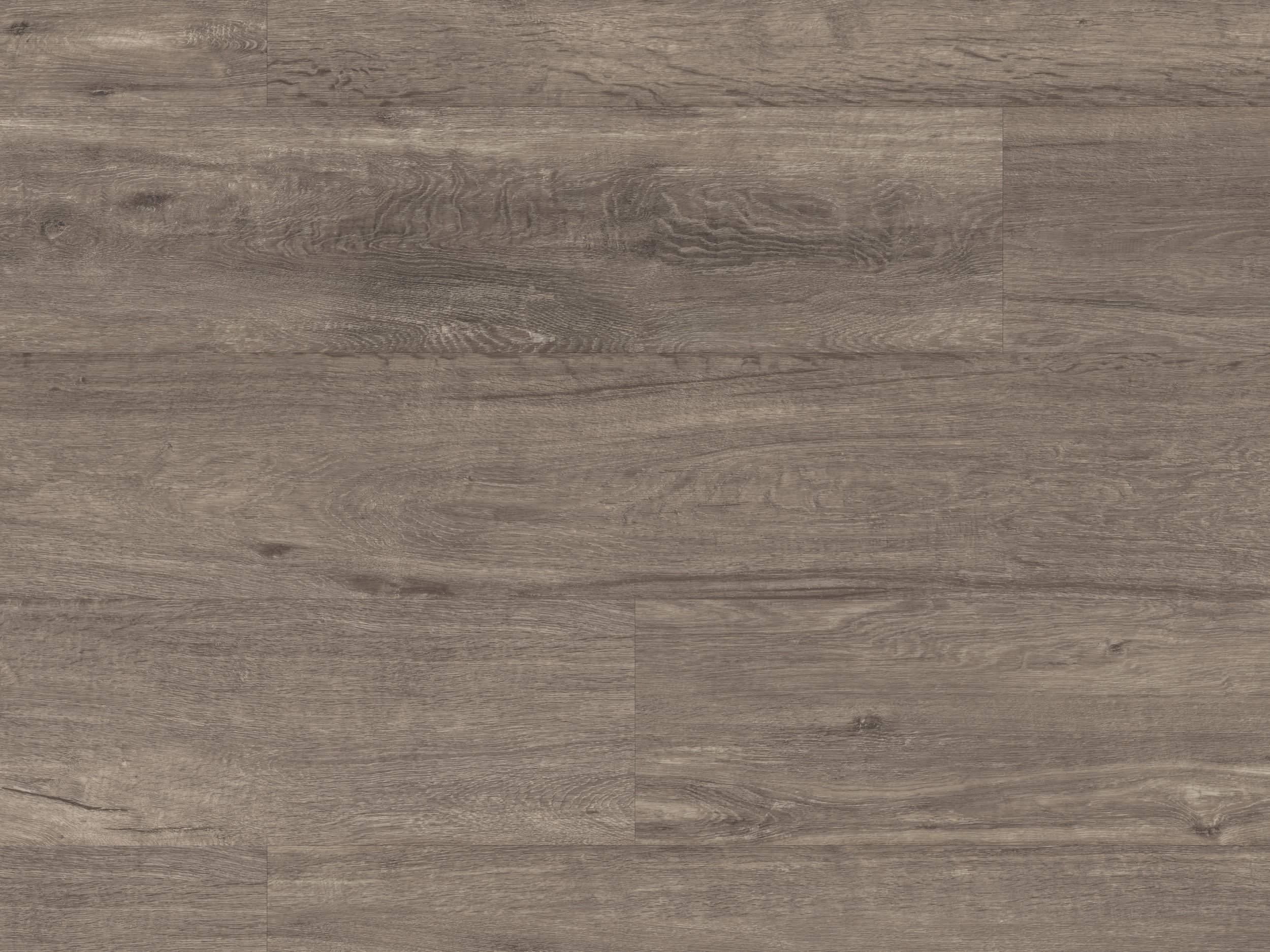 LLP301 Twilight Oak