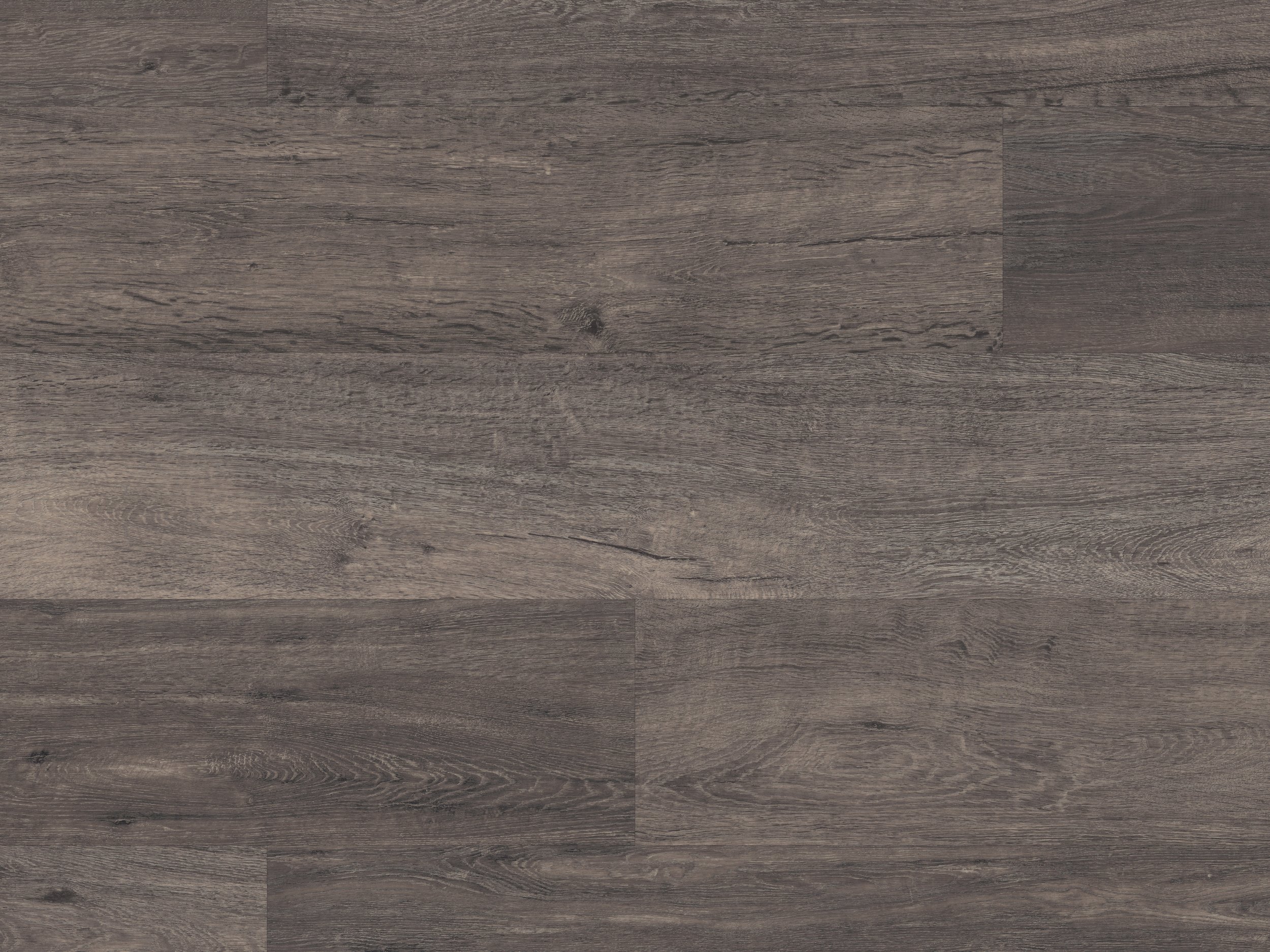 LLP302 Raven Oak