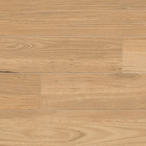 7120 Coastal Blackbutt