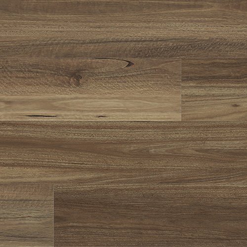 7121 Scented Spotted Gum