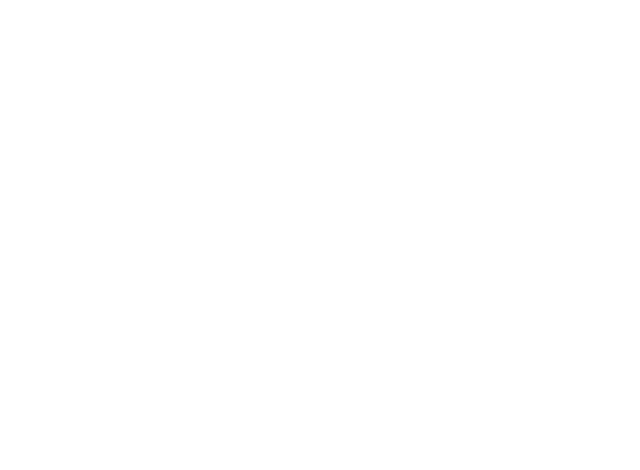 Seaview Aviation  