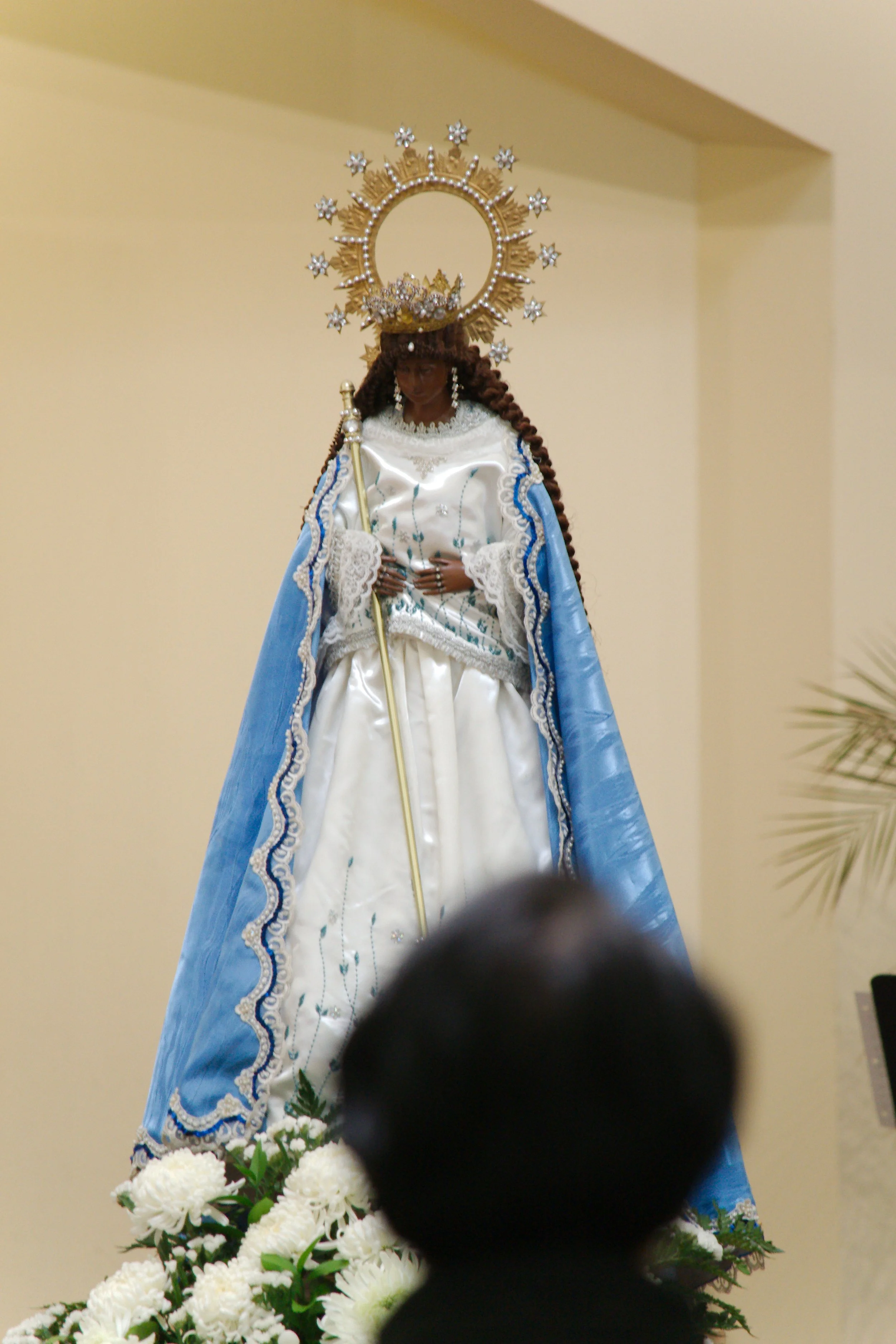 DSC_2556.jpg