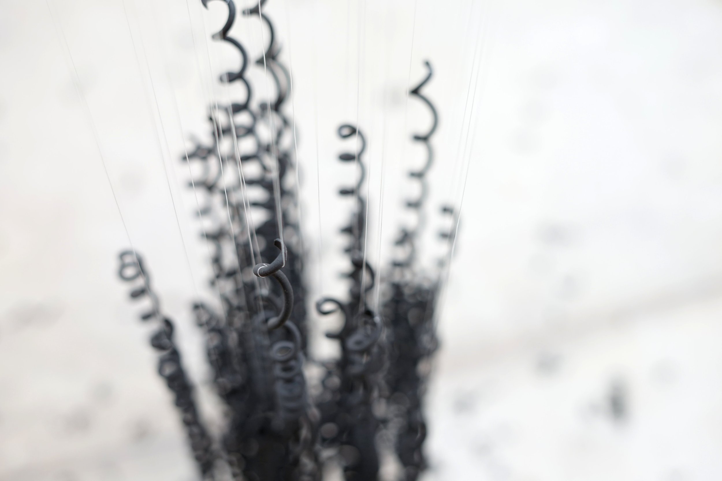 Hair Fall Detail 4.jpg
