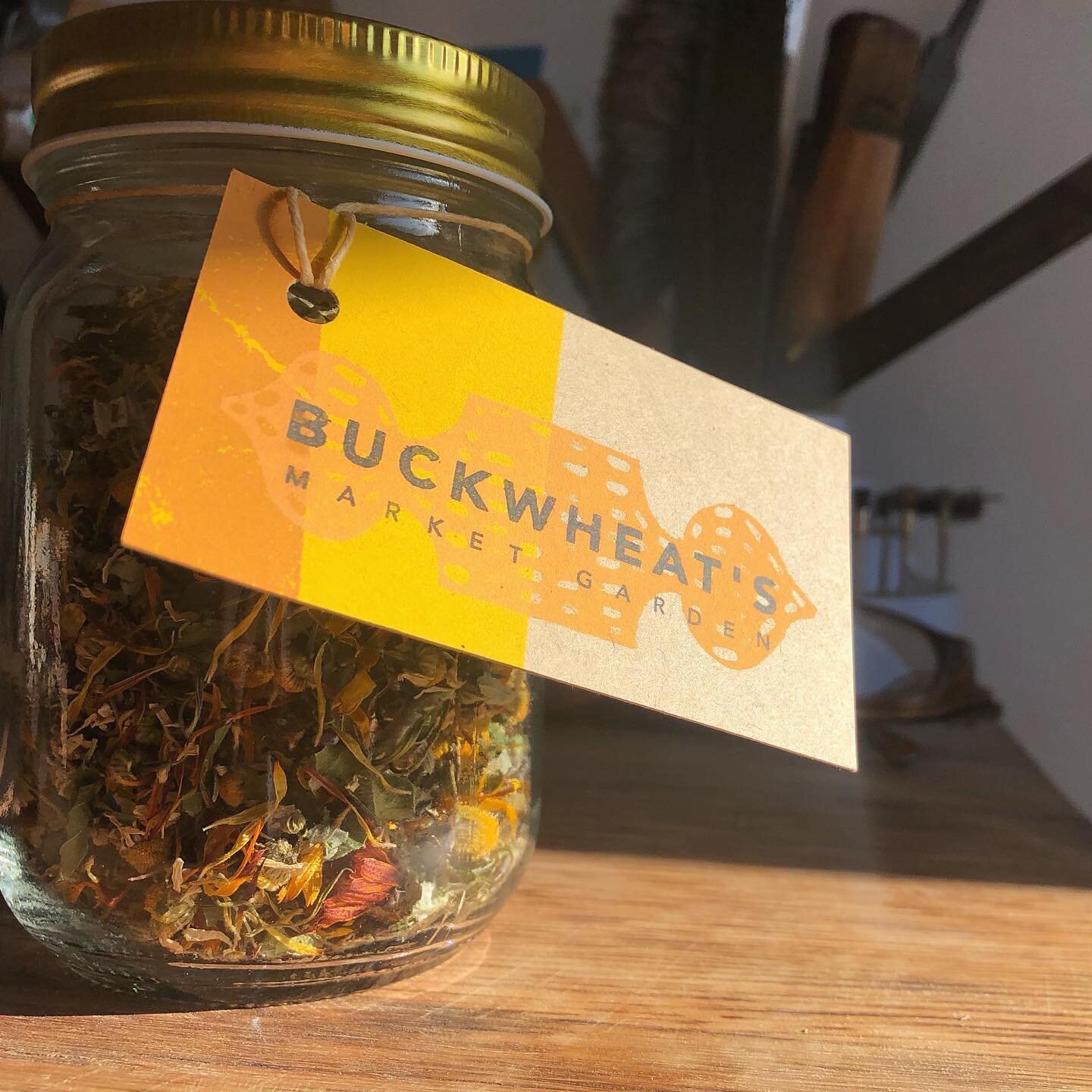 Taking advantage of this gr8 lighting to self promote 🙃 @buck.wheats is selling small batches of farm grown / farm foraged tea for the holidays! Flavors are classic chamomile and a blend of chamomile, calendula, lavender, peppermint and wild raspber