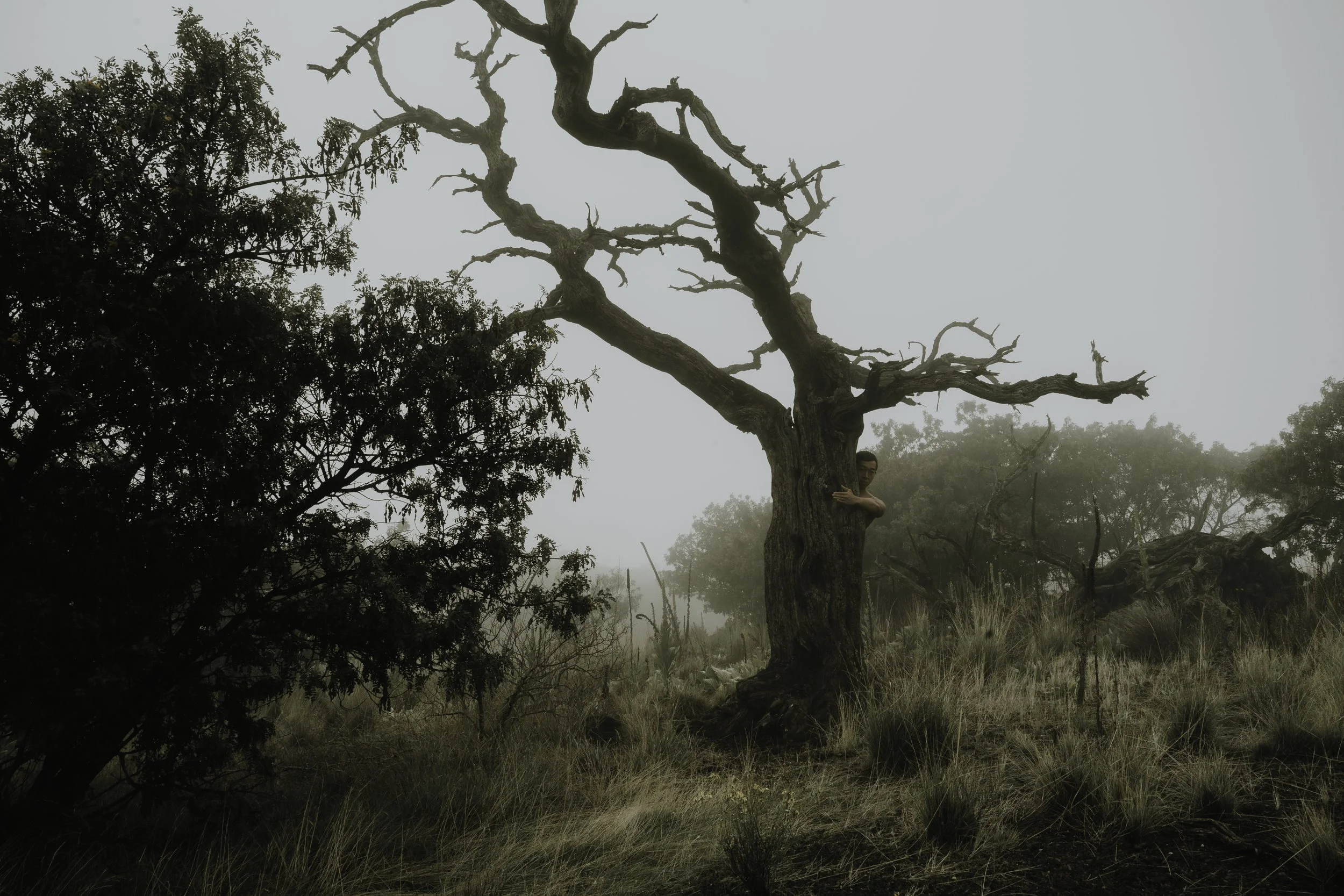 DSC07717-Edit.jpg