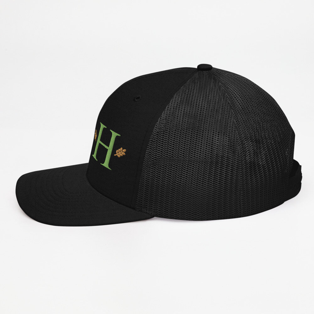 snapback-trucker-cap-black-left-side-606e24f35bc17.jpg