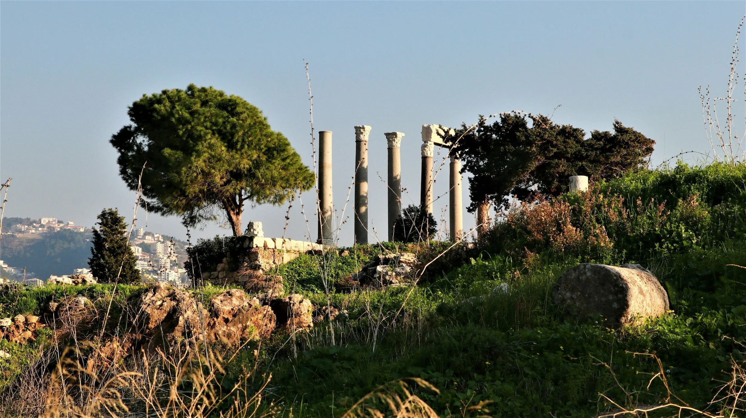 Ambition of Living Quietly