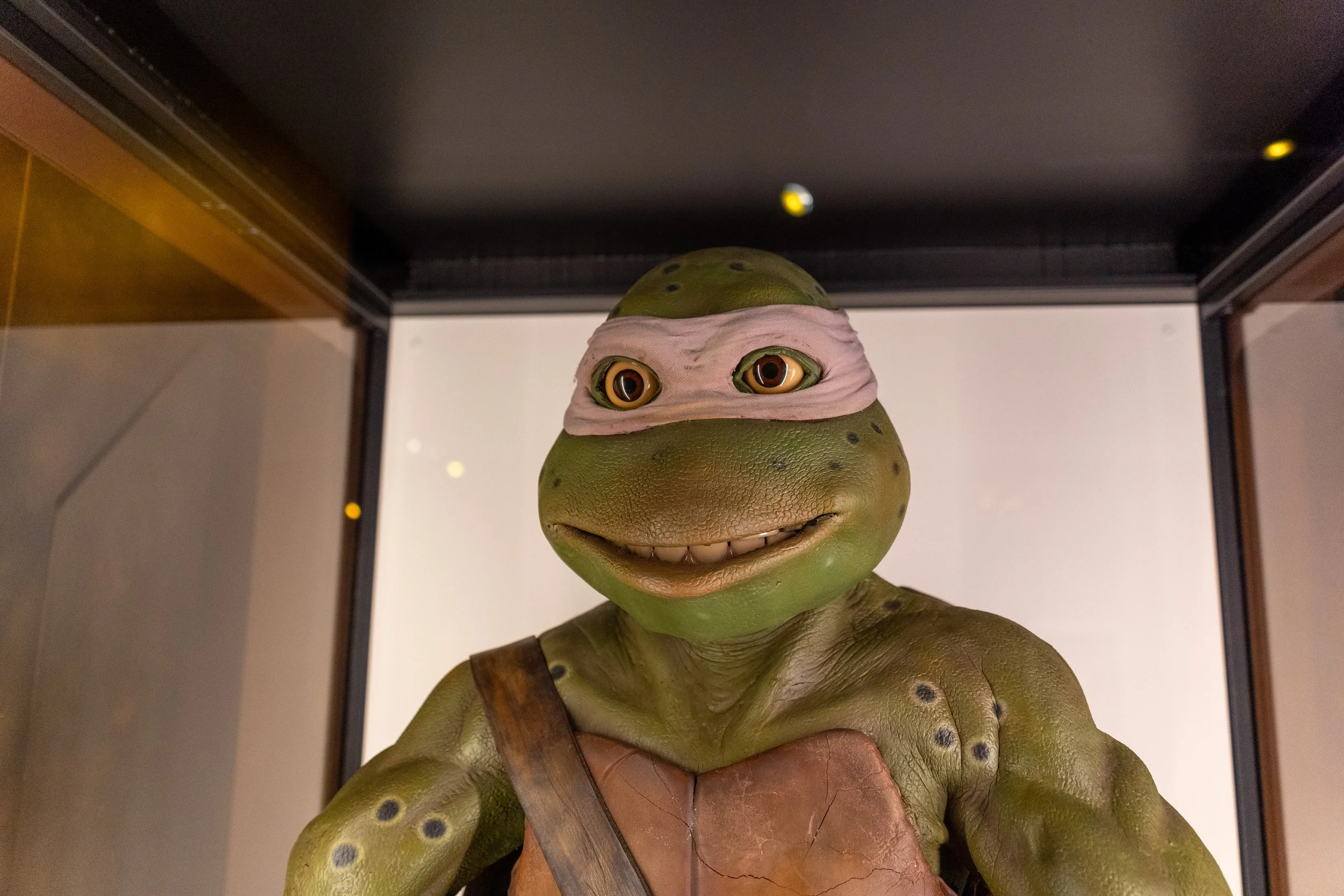 MoPOP - SciFi Teenage Mutant Ninja Turtle.jpg