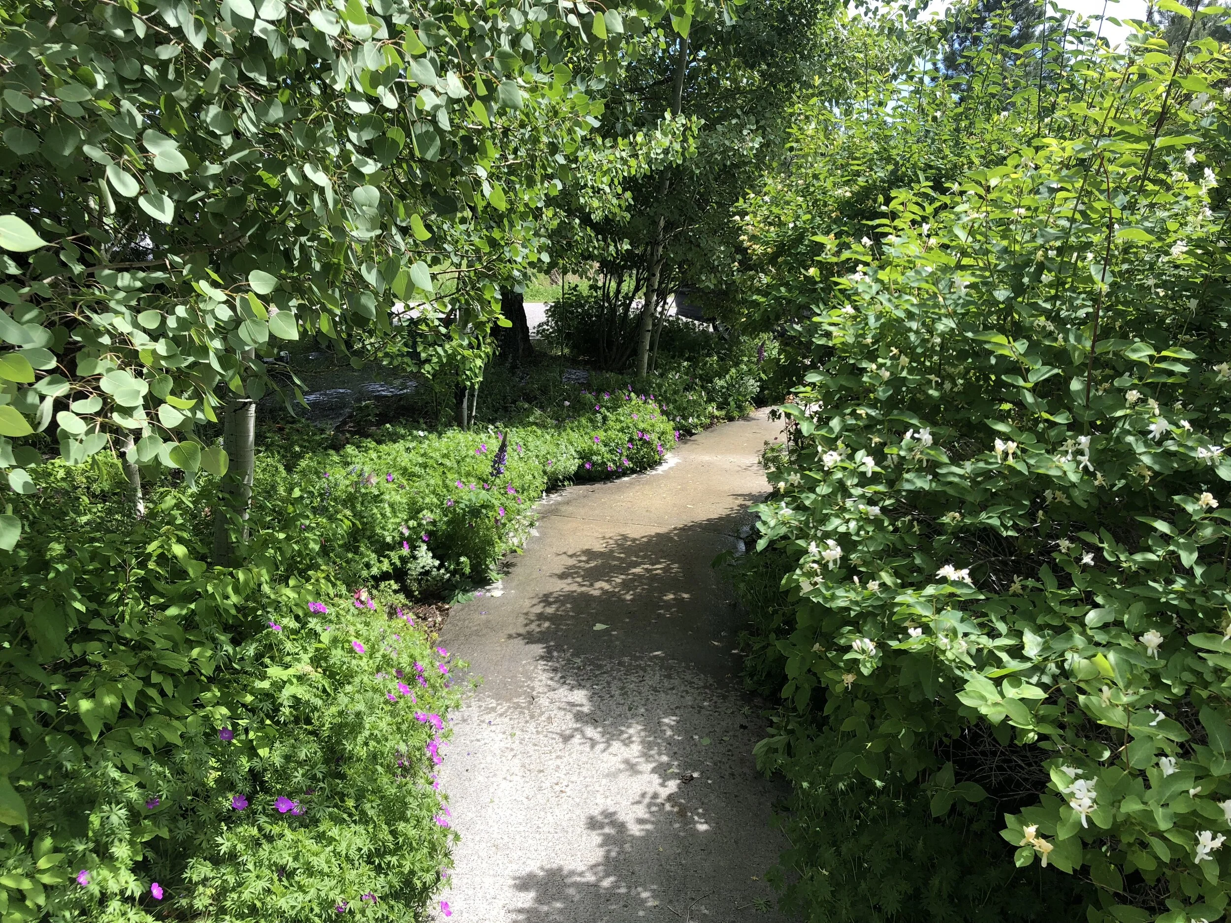 Fairytale Walkway.JPG