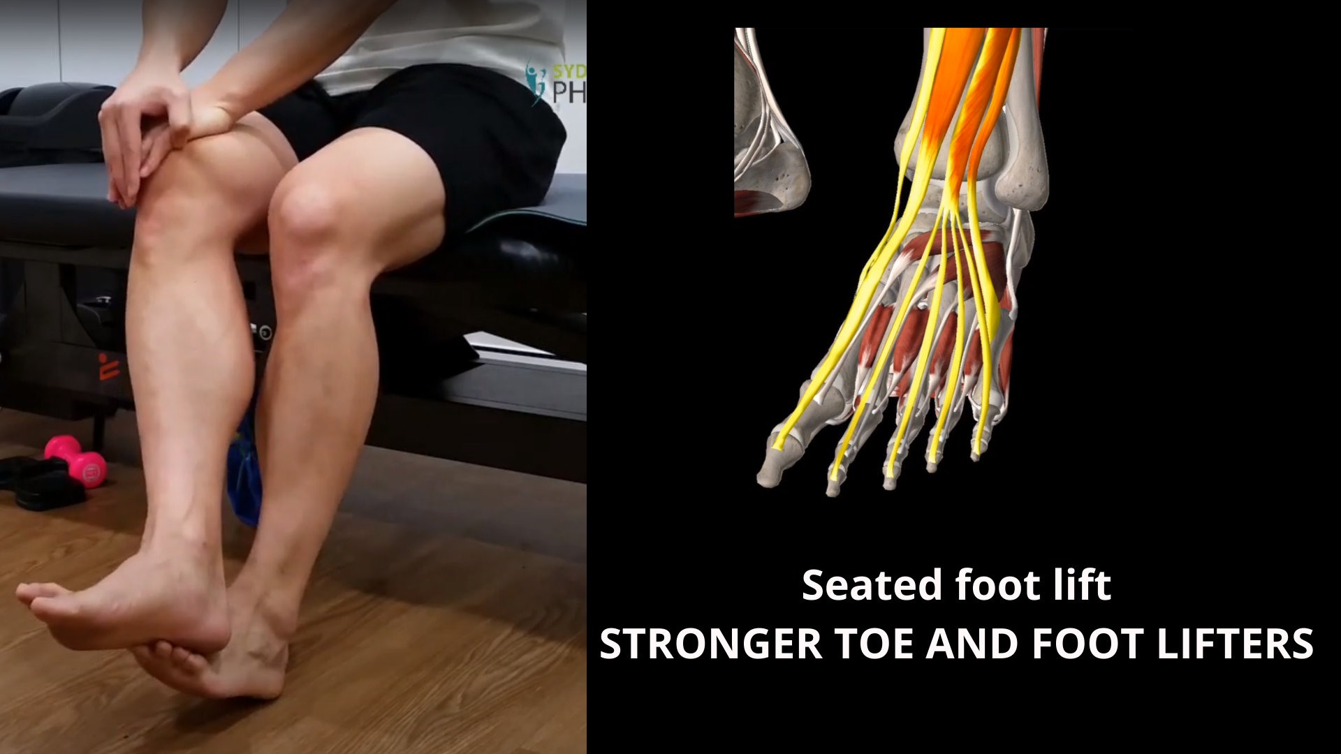 Sydney Health Physiotherapy Resources - Ankle & Feet — Sydney Health ...