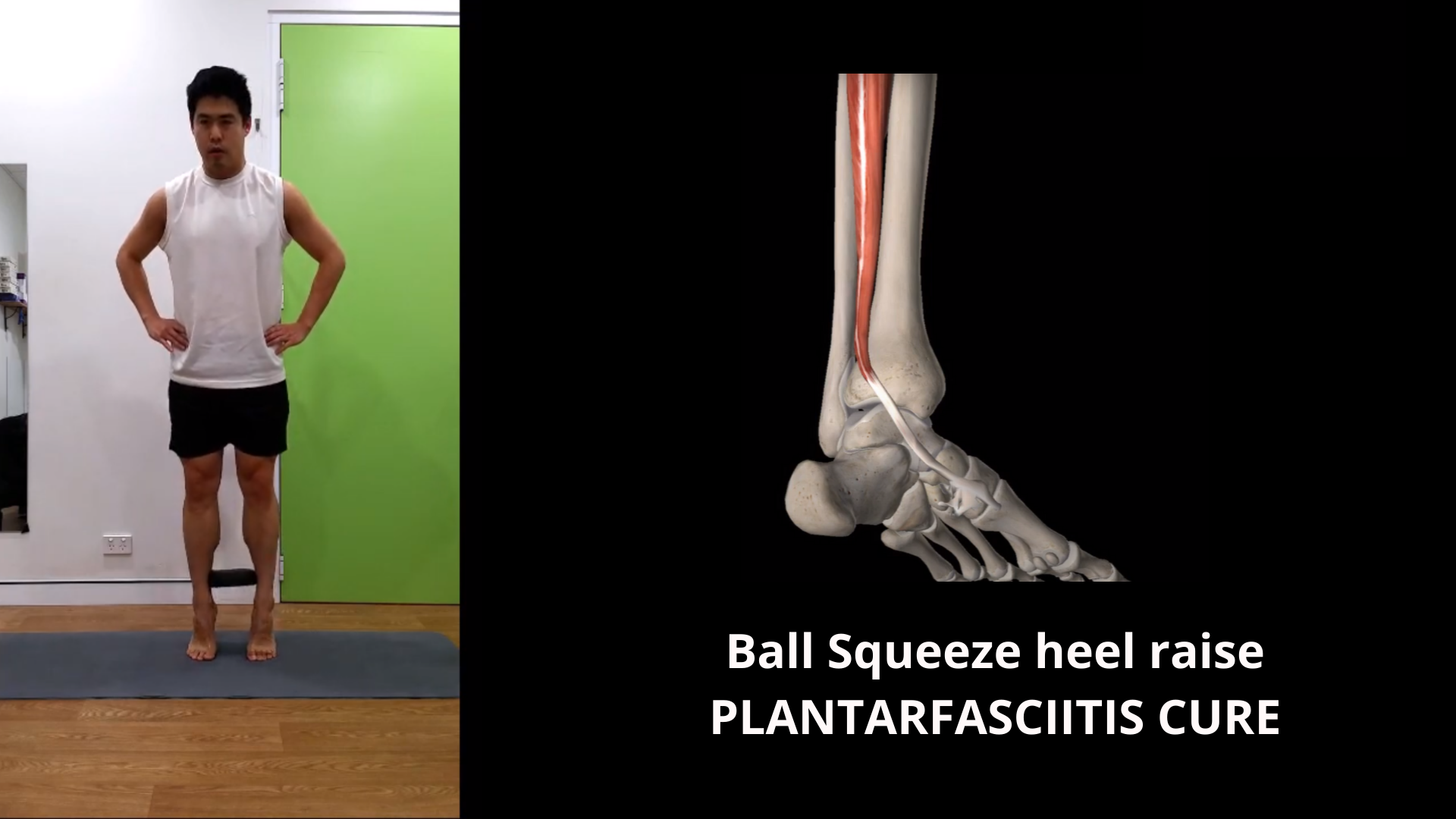 Ball Squeeze Heel Raise Sydney Health Physiotherapy