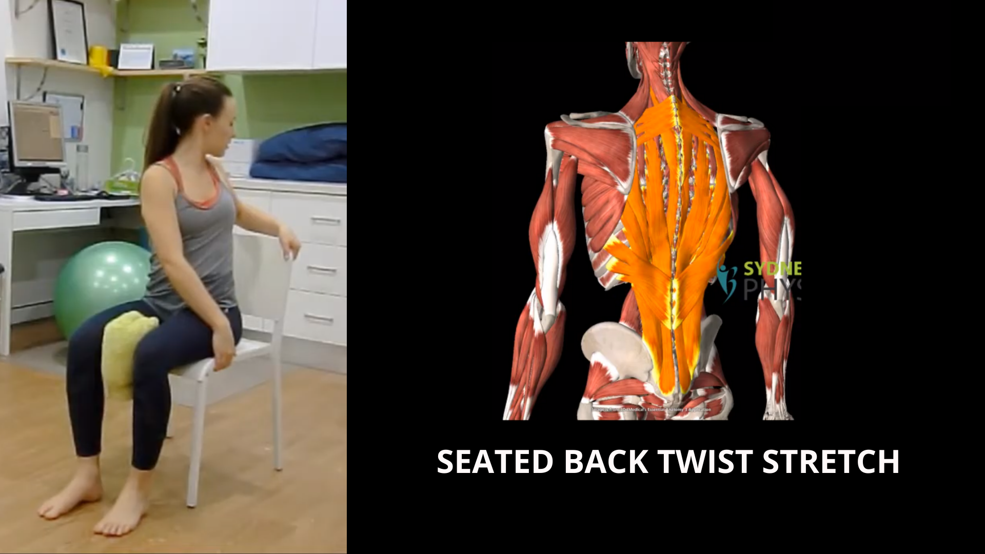 Seated back twist stretch — Sydney Health Physiotherapy