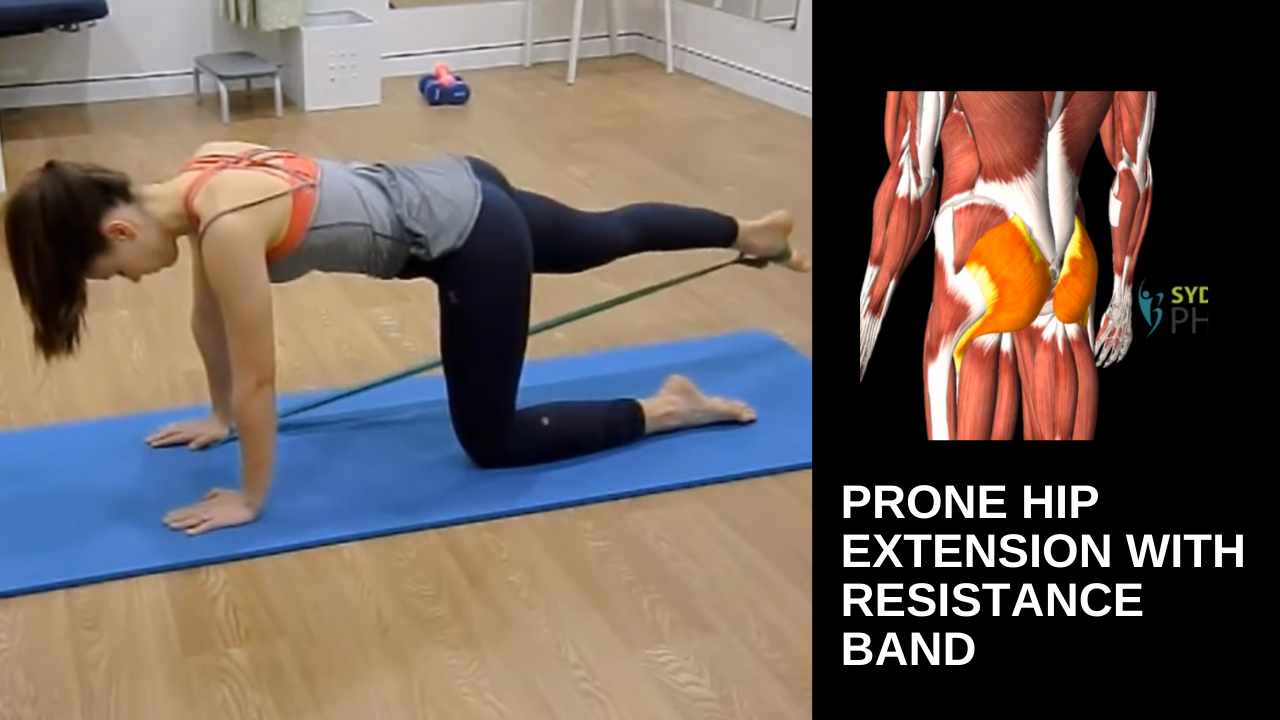 Hip Extensions Übungen : Reverse Hyperextensions: Ausführung und ...