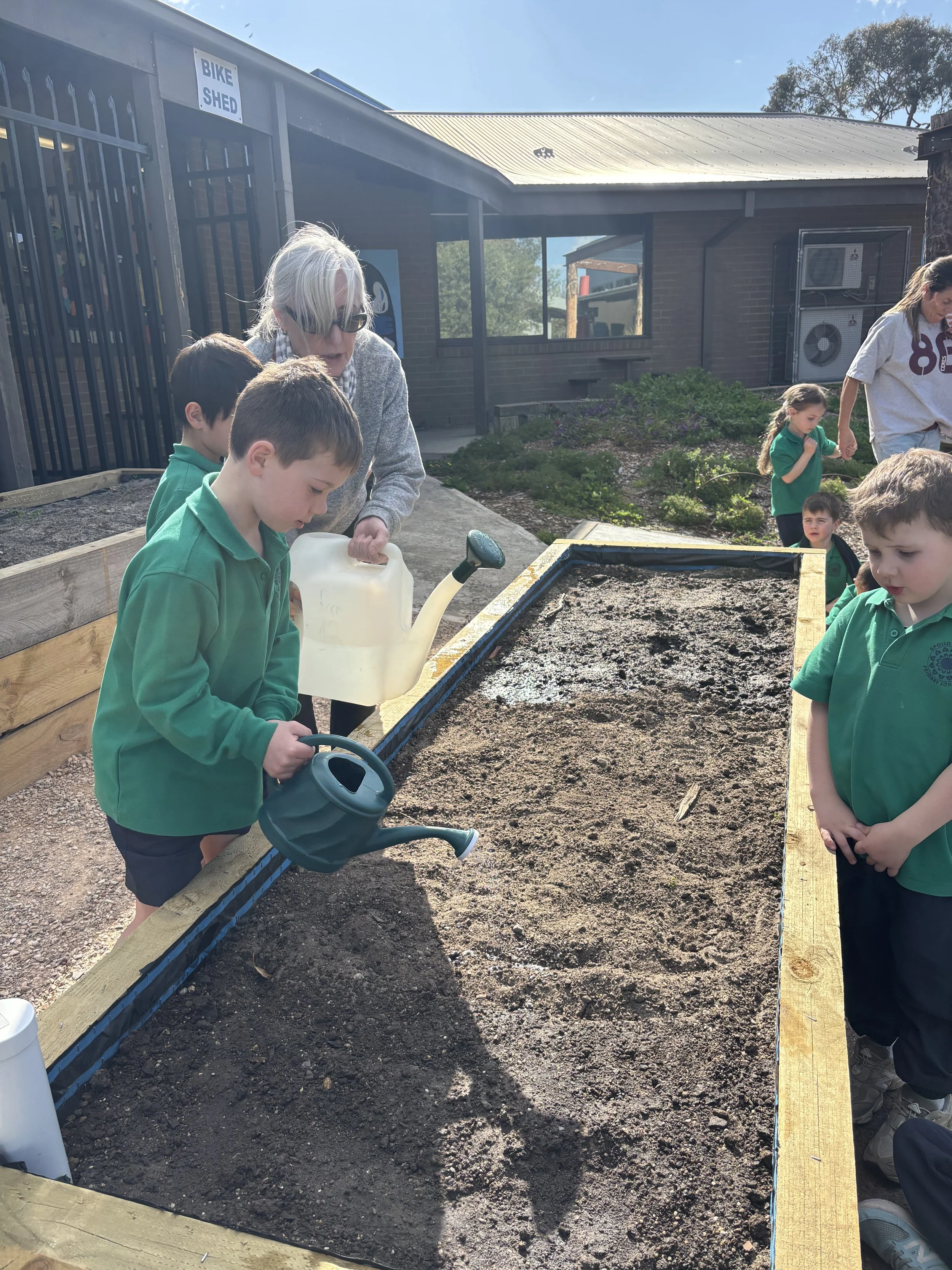 Inquiry Learning - planting seeds.jpeg