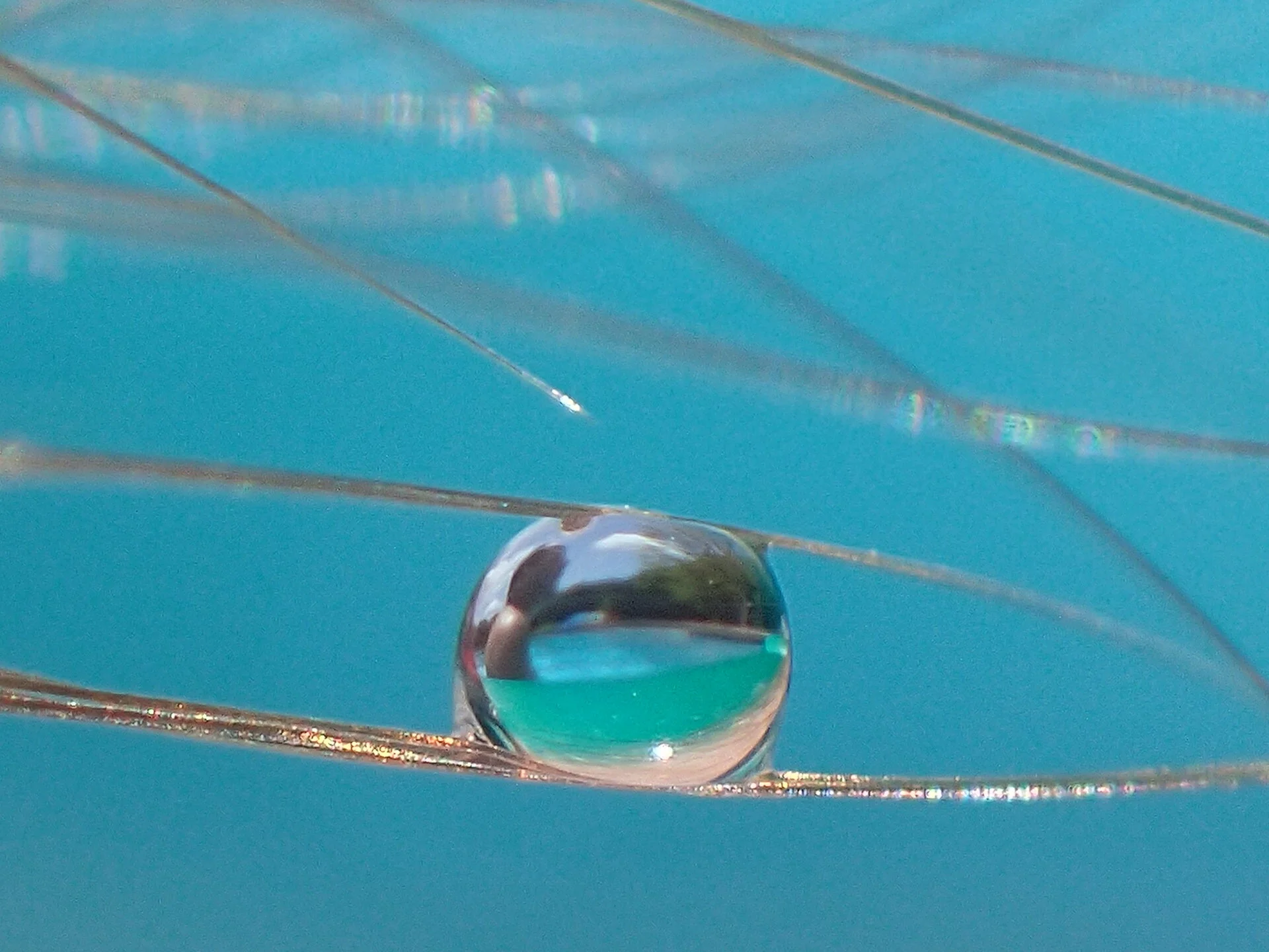 World Witin a World.JPG