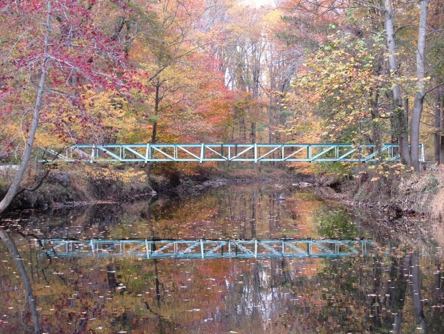 bridge_across_autumn.jpg