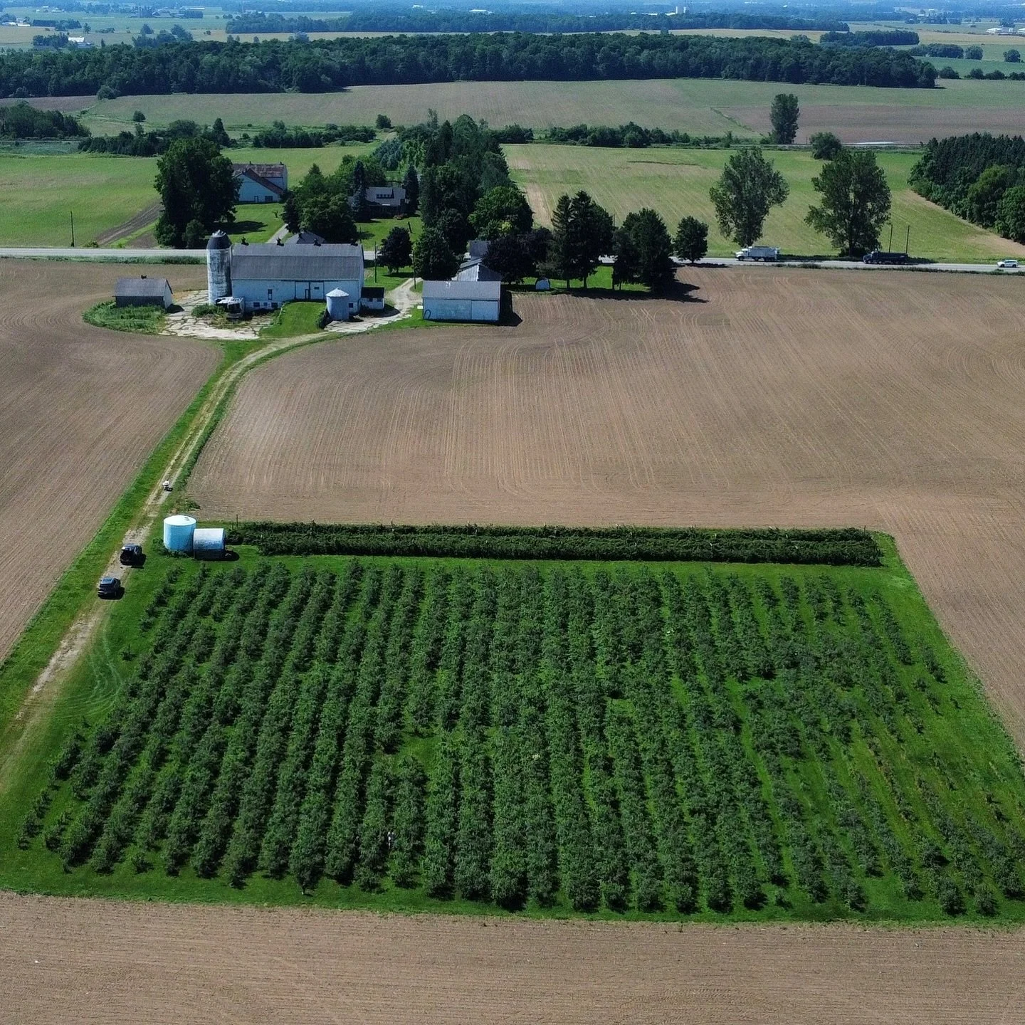 We are thrilled to announce that the 2024 Pick-Your-Own Blueberry season will OPEN on Monday, July 15th from 8:30AM to 4PM. Mark your calendars!! 

PYO blueberries are $3.25 per pound and we accept cash, cheque and E-Transfer. This year as in previou