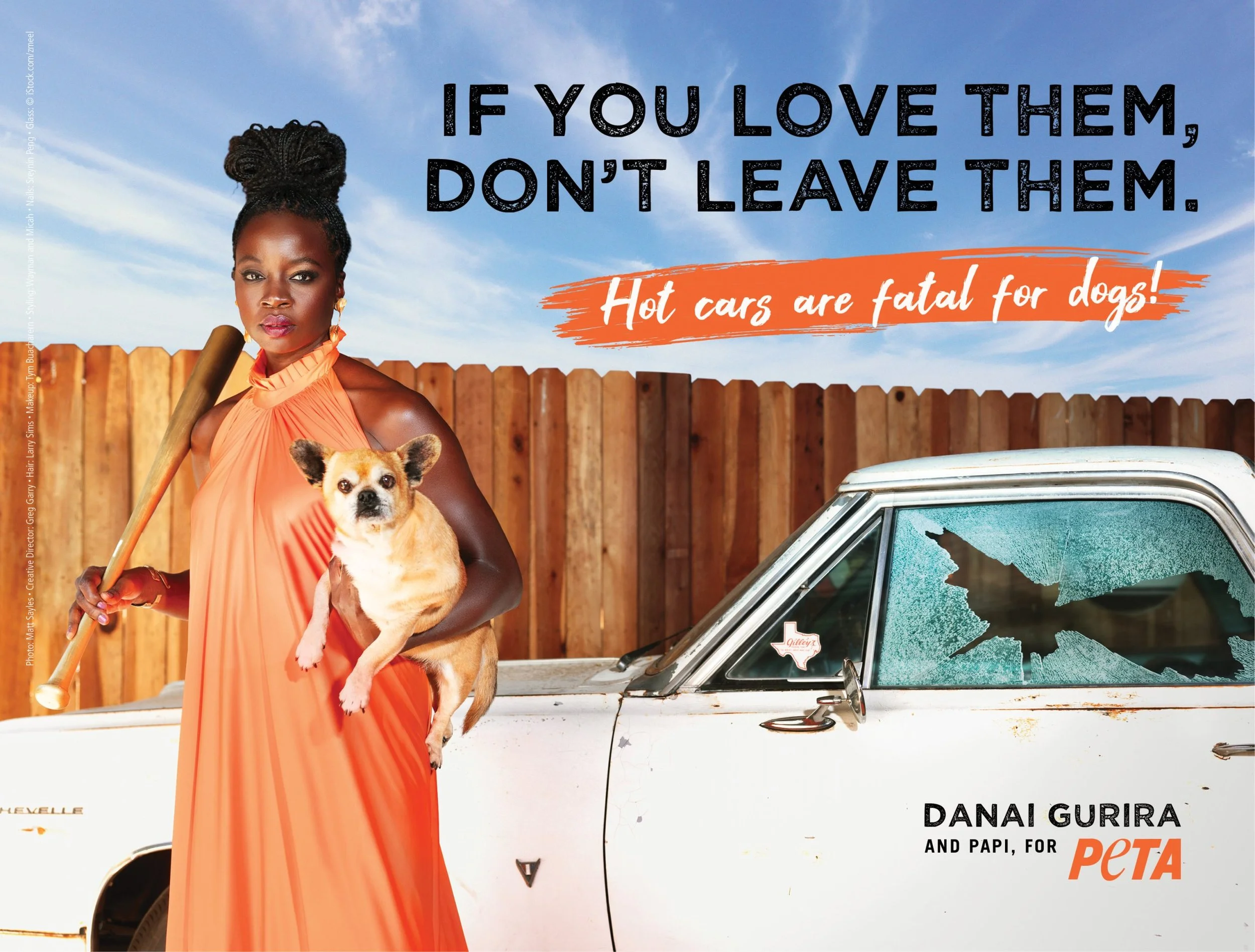 PETA_Danai_Gurira_FP_Horiz_300-scaled.jpg