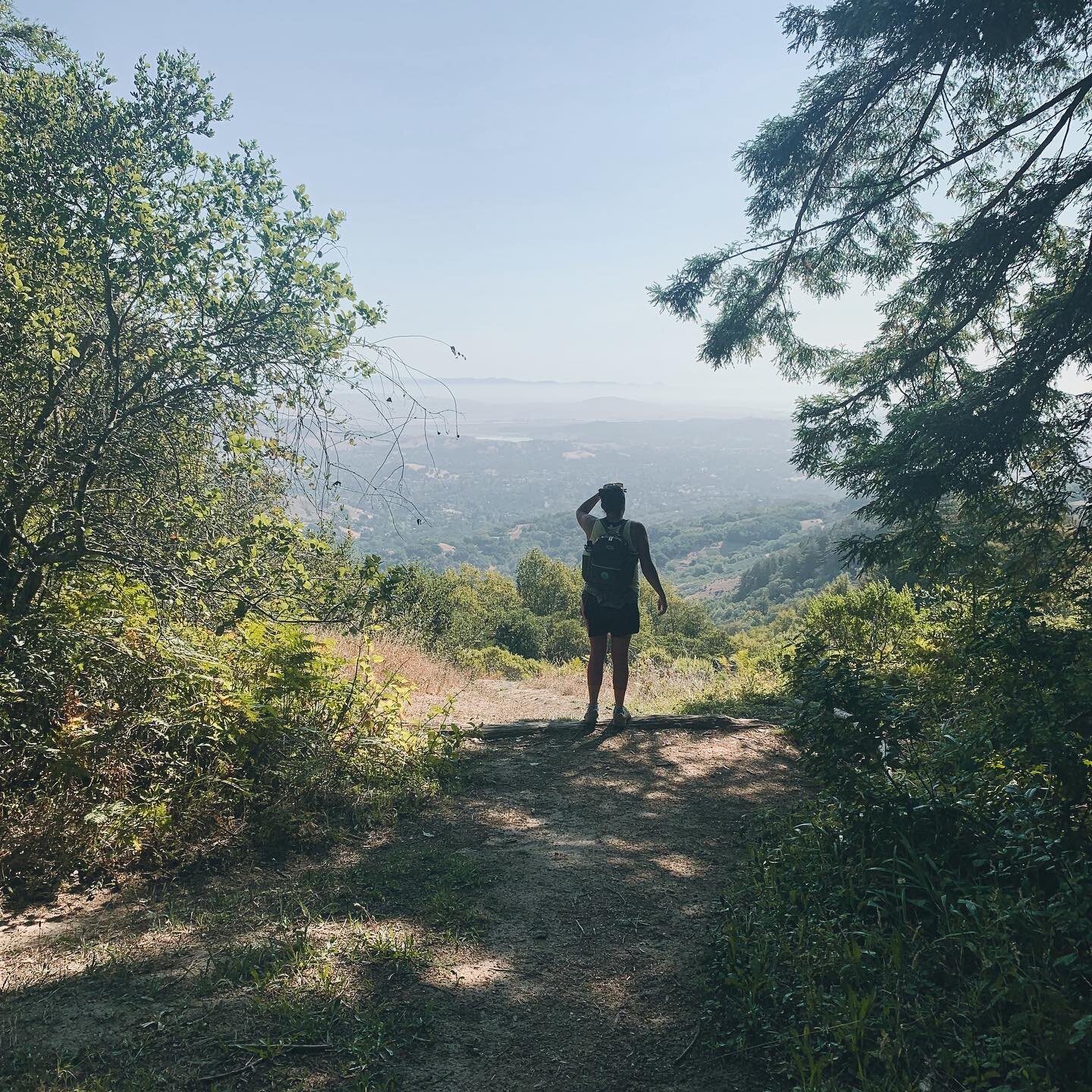 Sunday Funday pushing us into the week! We love this trail…it’s a little hidden gem at the top of Marin County. It was just the ticket for a warm day.
.
Big Trees Trail lulls you with a gentle winding path through rolling hills and redw