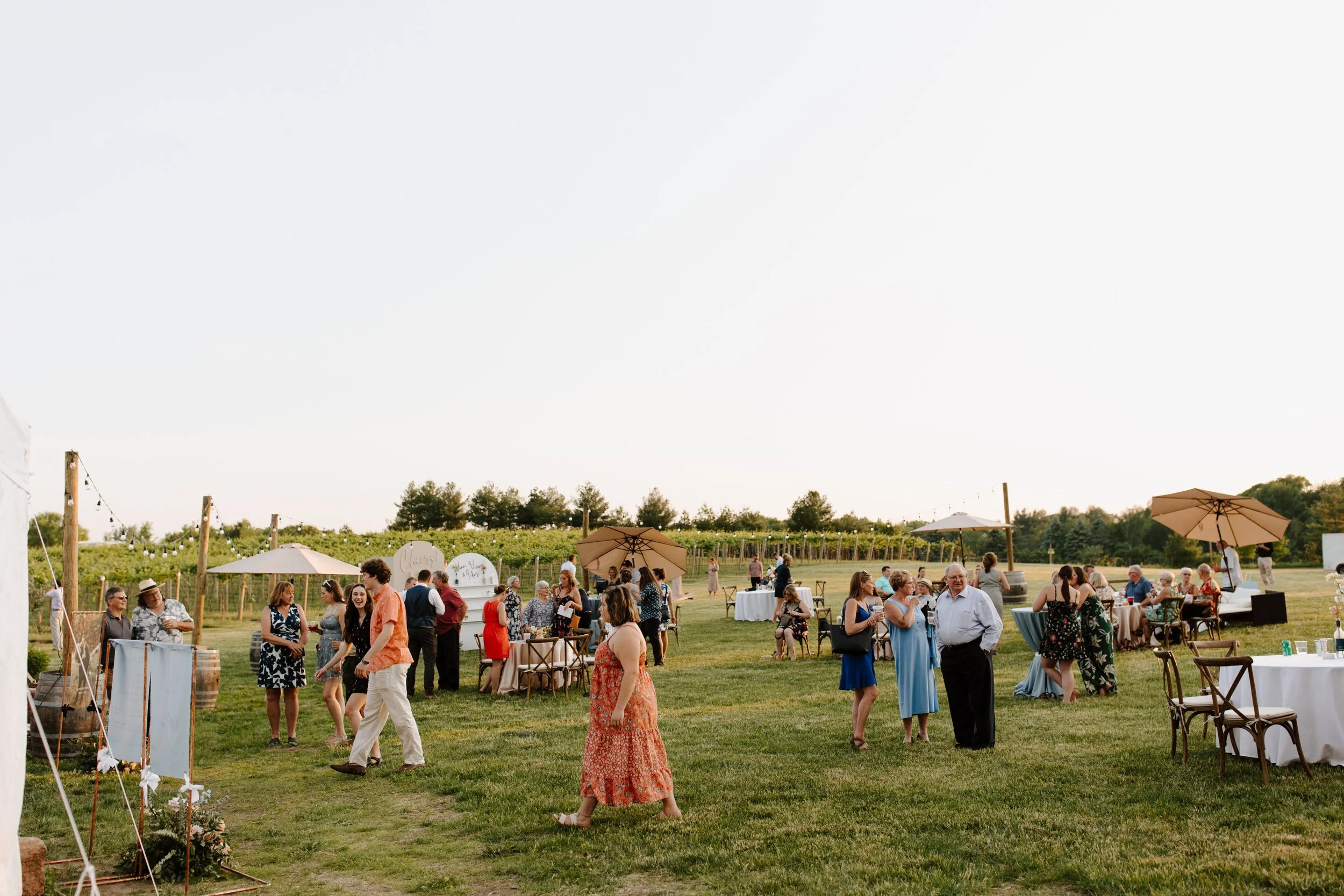Weddings at Rustic Roots Winery, a Serene Vineyard in the St. Croix ...