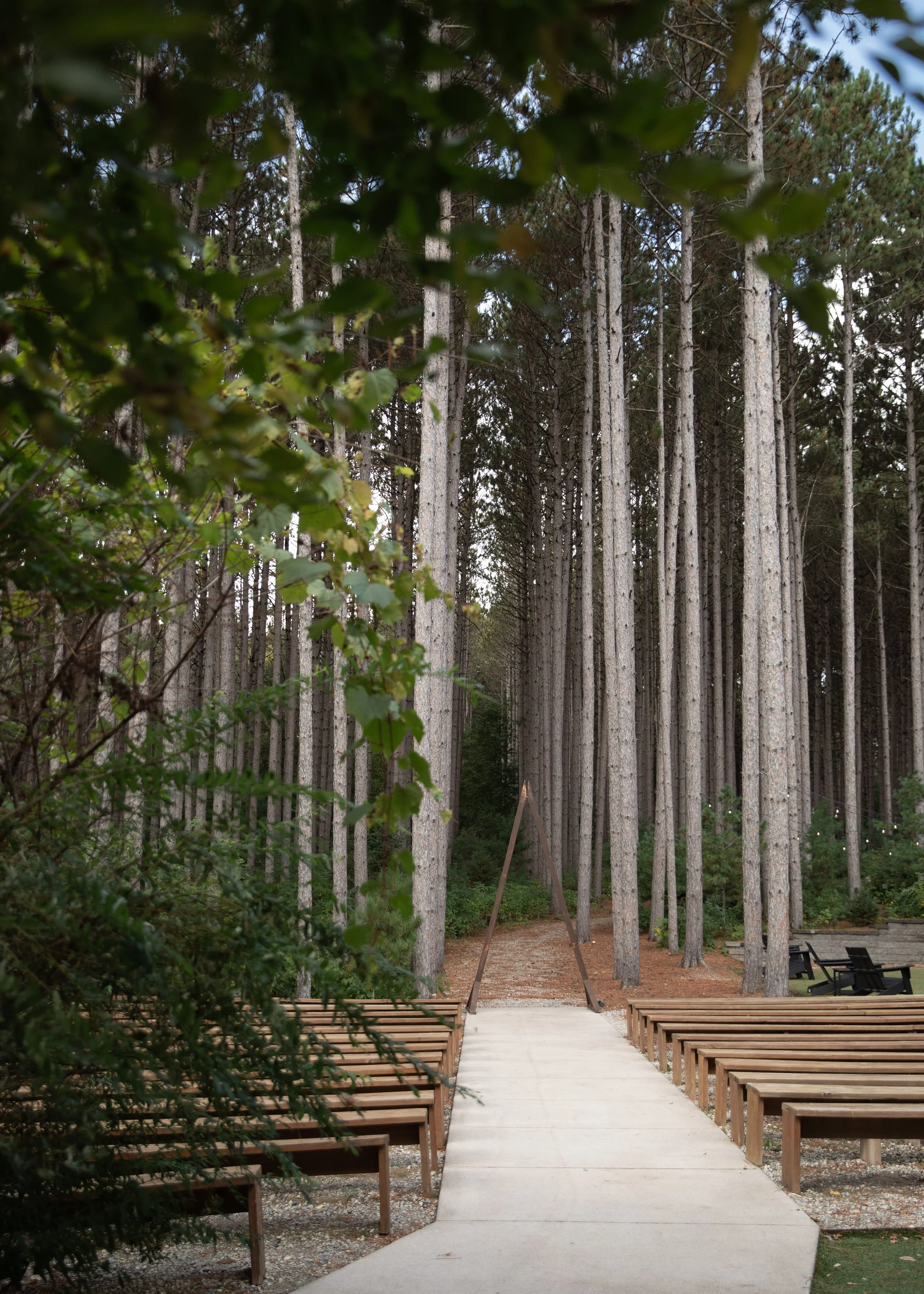 Outdoor ceremony site between the pine trees at Pinewood in Cambridge, MN