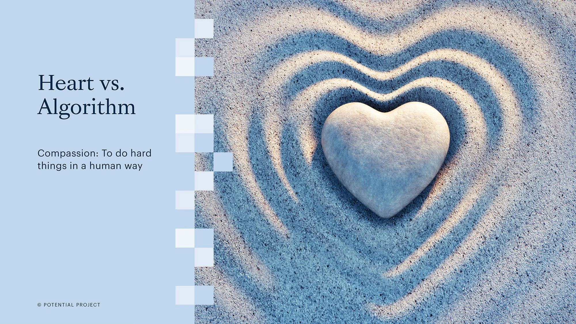 PP-AI-Section-Header-2.jpg