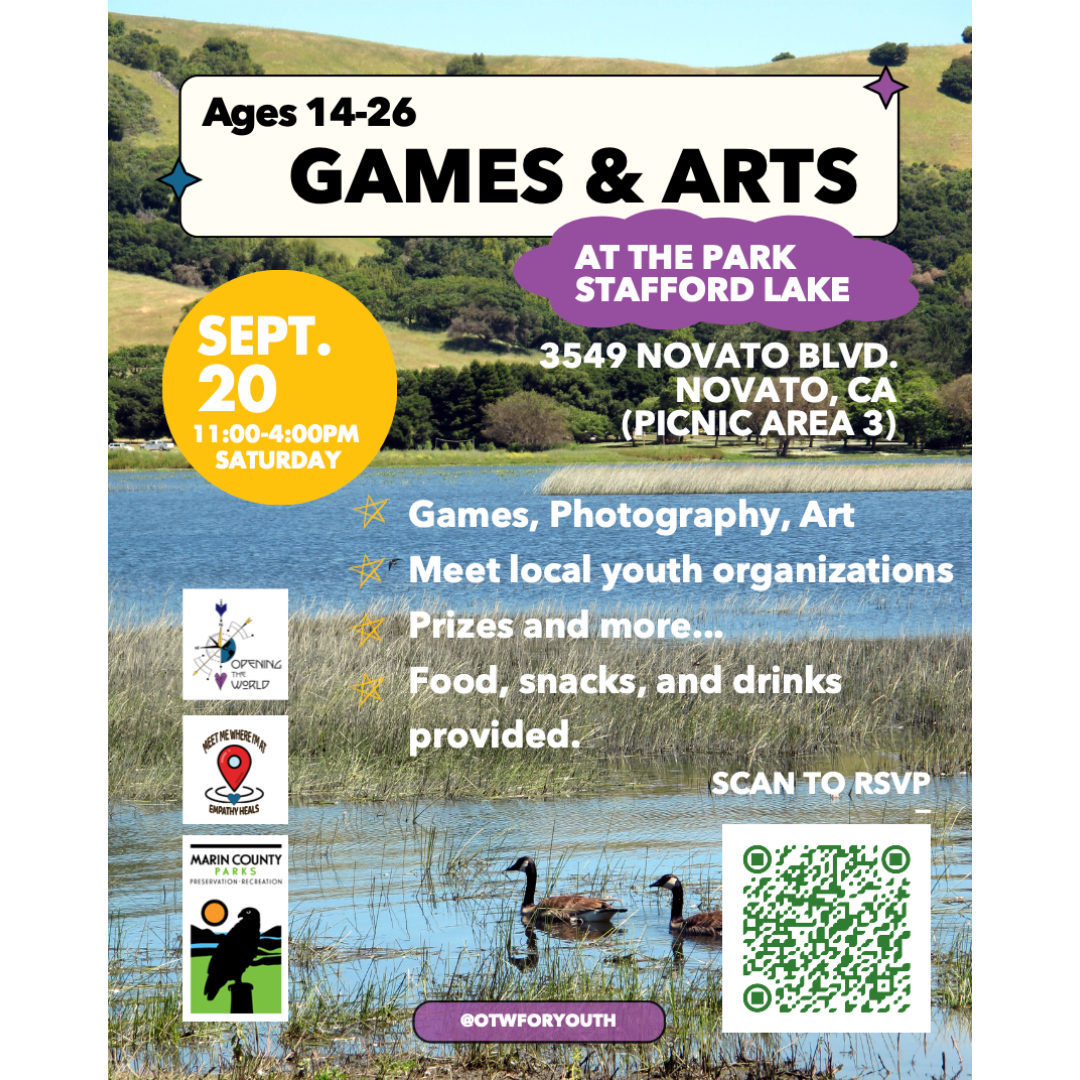 Games and Art in the Parks