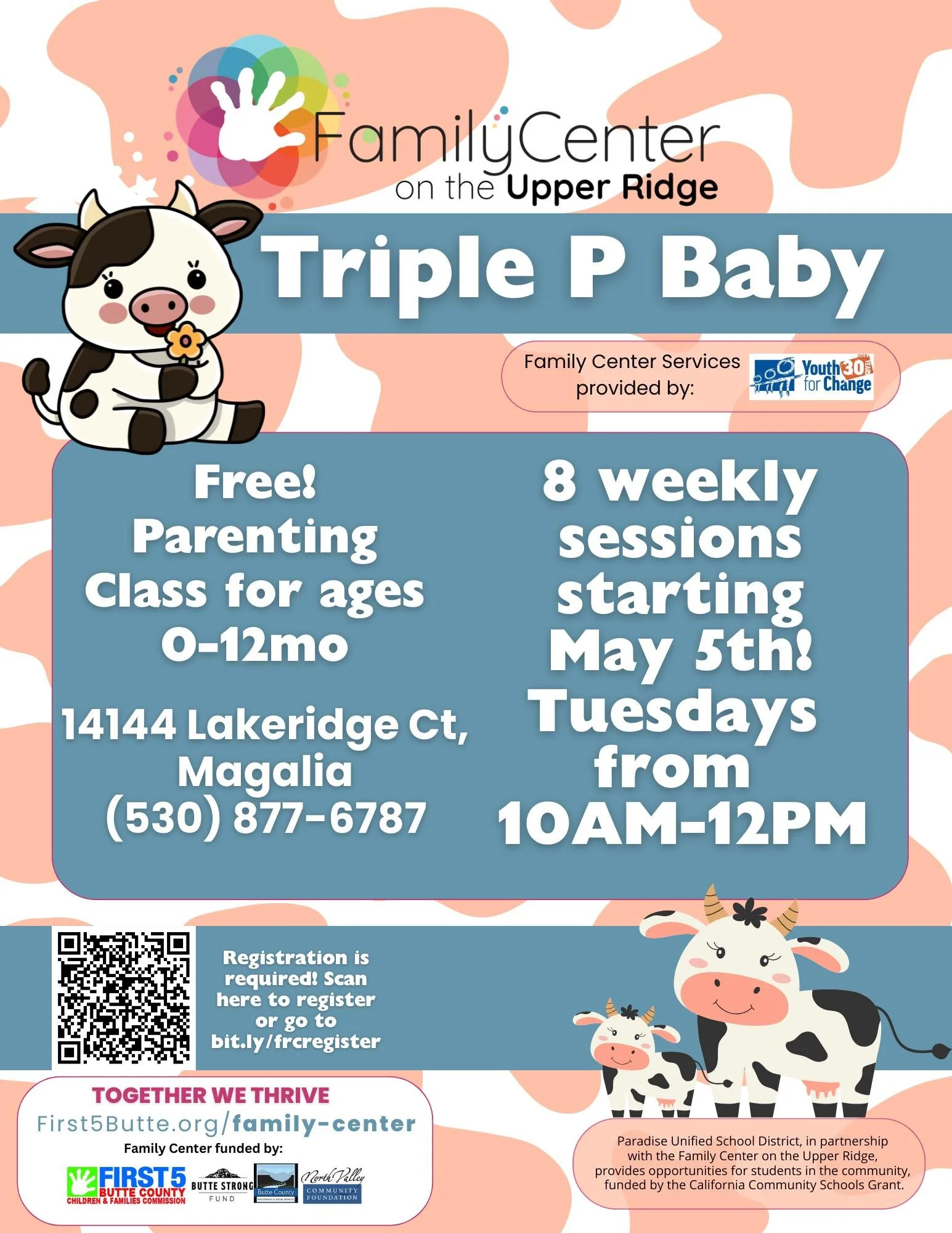 triple p baby flyer