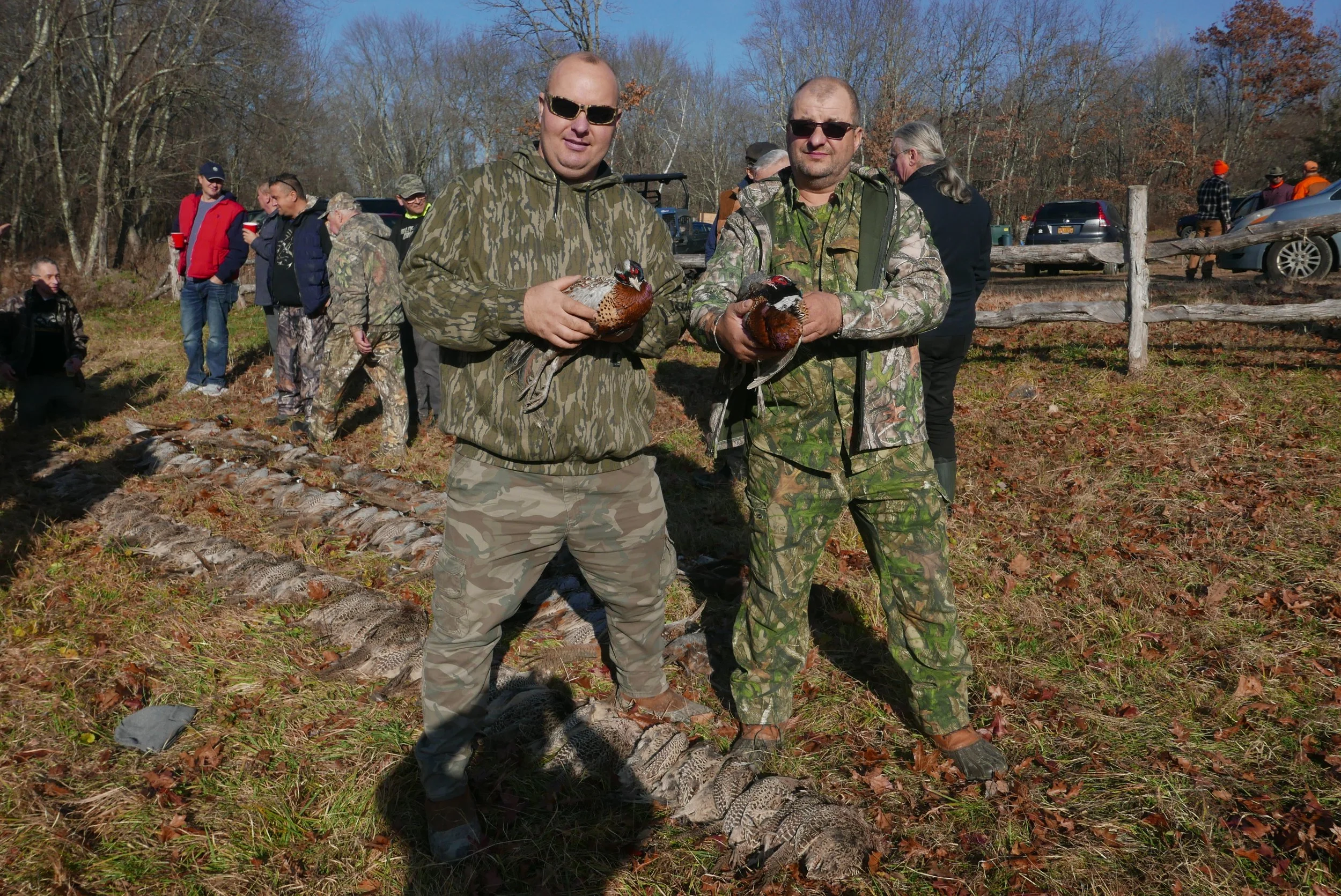 P1050208.JPG