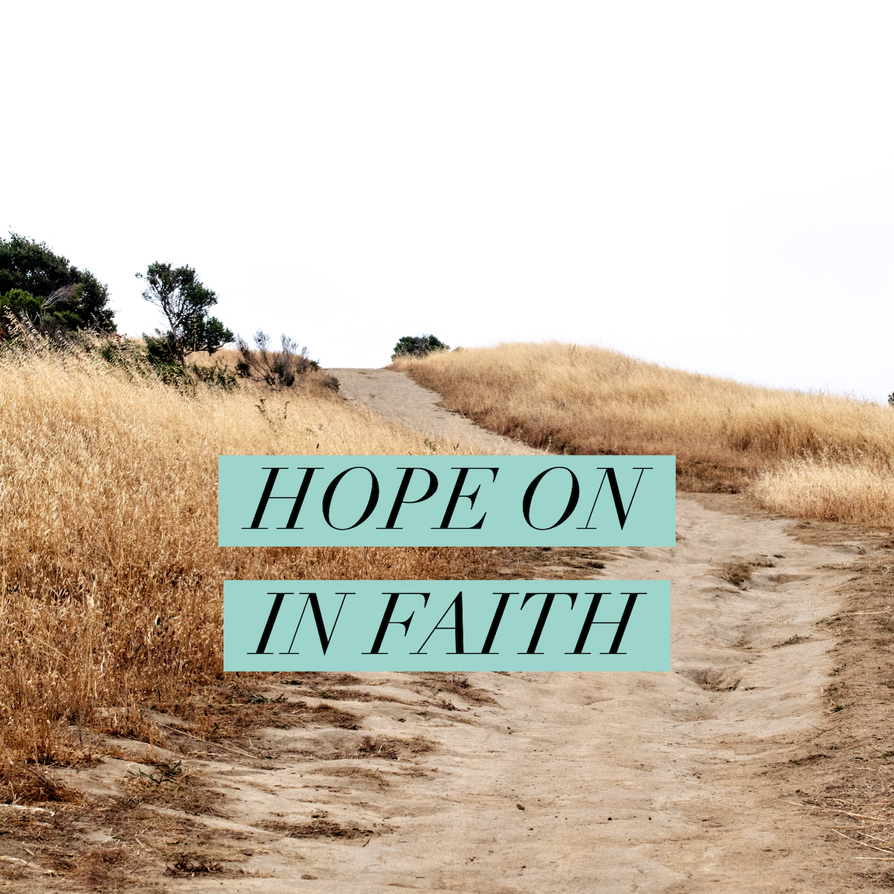 Hope on in Faith